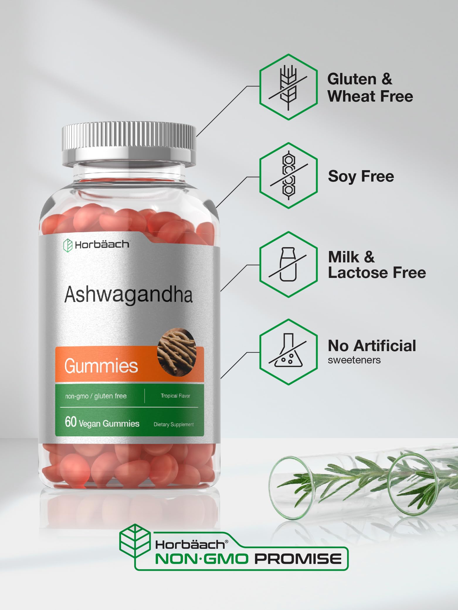 Horbäach Ashwagandha Gummies for Women and Men | 60 Count | Vegan, Non-GMO, Gluten Free | Tropical Flavor (Pack of 2)