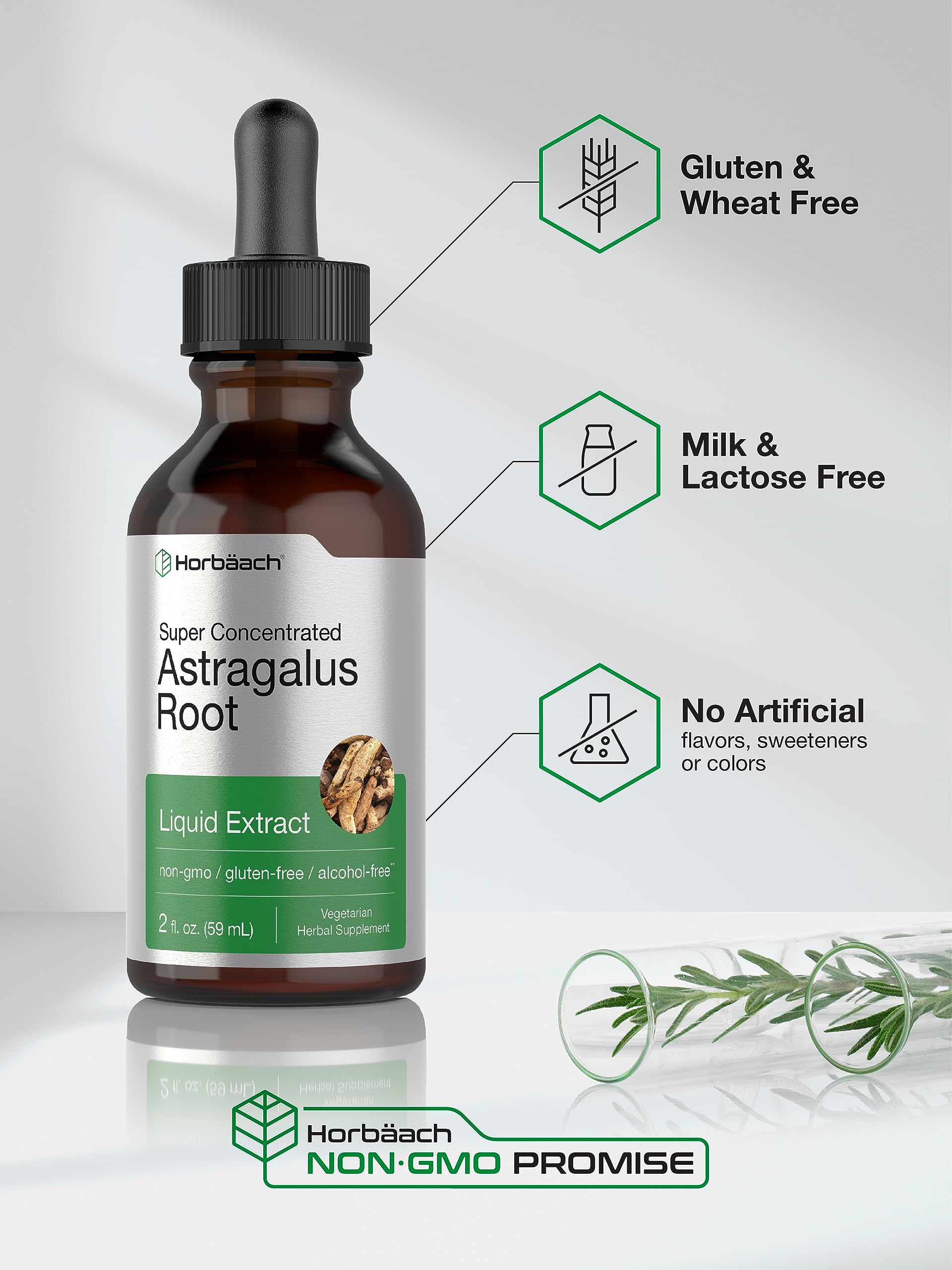 Horbäach Astragalus Root Extract Liquid - 2 fl oz | Alcohol-Free Tincture | Super Concentrated | Vegetarian, Non-GMO, Gluten Free