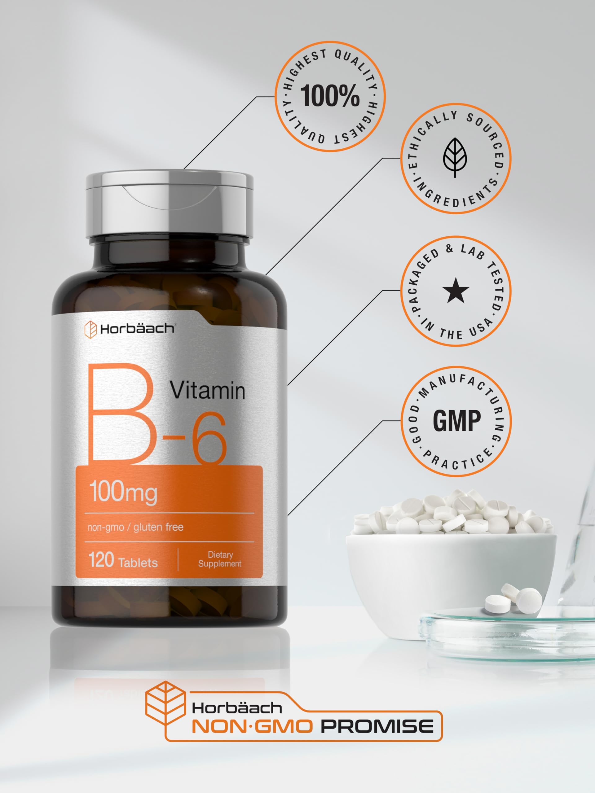 Horbaach Vitamin B6 100mg | 120 Vegetarian Tablets | Non-GMO & Gluten Free
