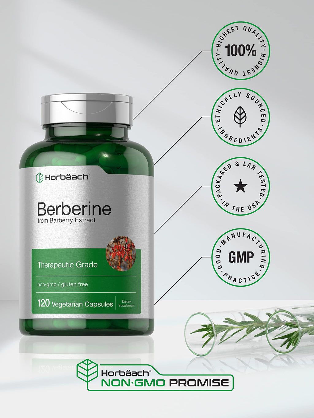 Horbaach Berberine HCL 500mg - 120 Capsules | Barberry Extract | Therapeutic Grade - Vegetarian, Non-GMO, Gluten Free