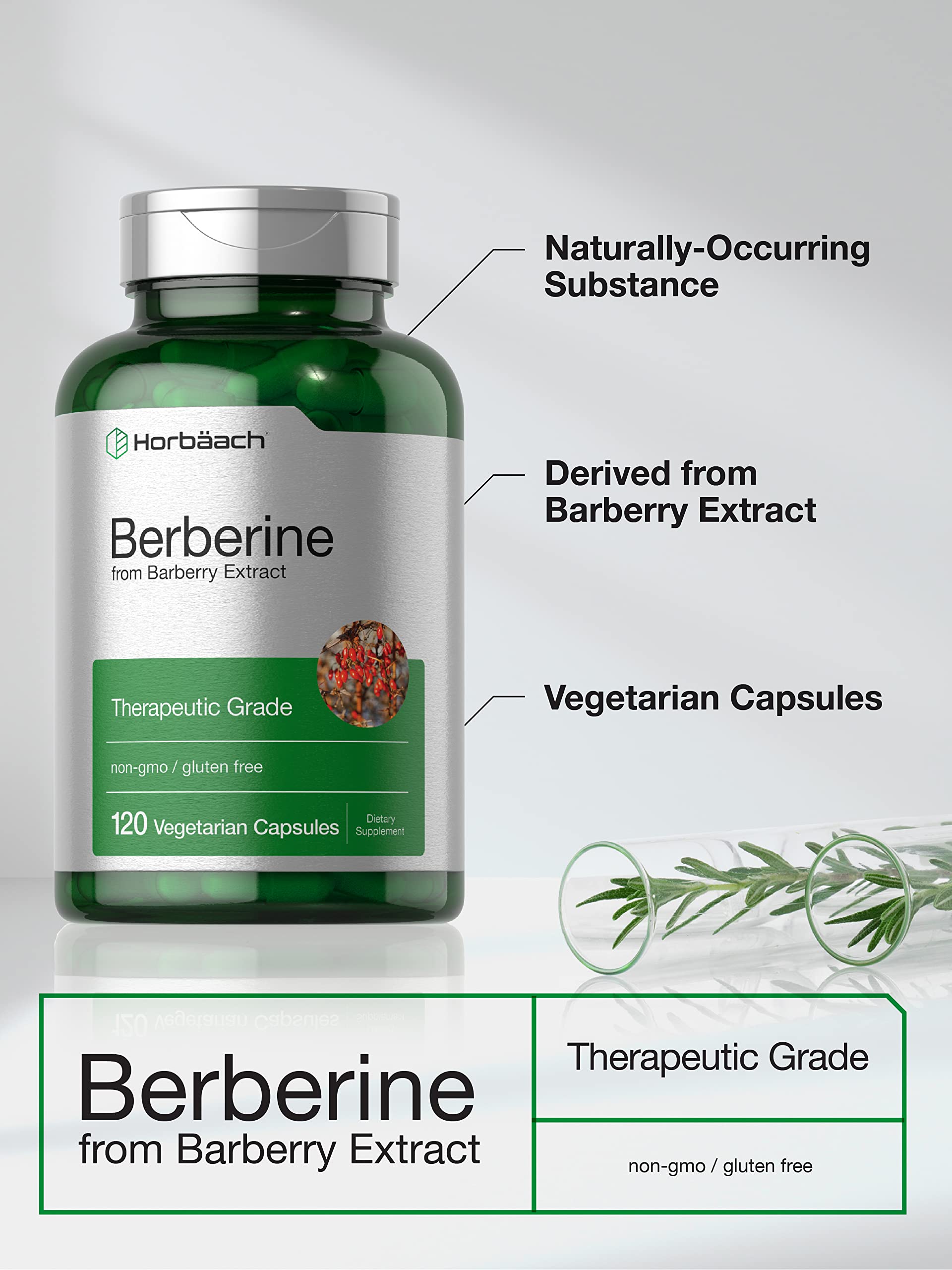 Horbaach Berberine HCL 500mg - 120 Capsules | Barberry Extract | Therapeutic Grade - Vegetarian, Non-GMO, Gluten Free
