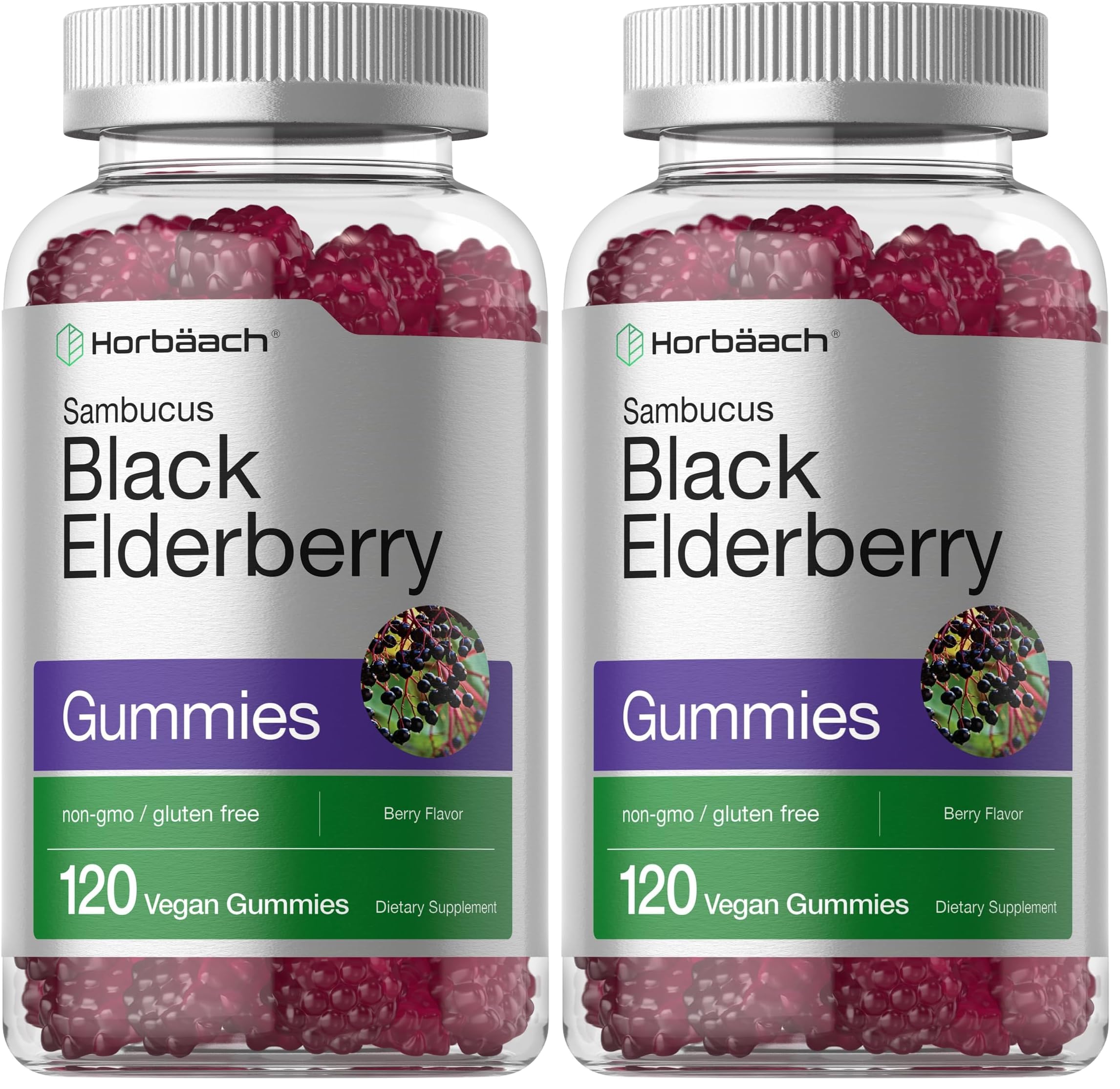 Horbaach Black Elderberry Gummies - 120 Count (Pack of 2) | Zinc & Vitamin C | Vegan, Non-GMO, Gluten Free