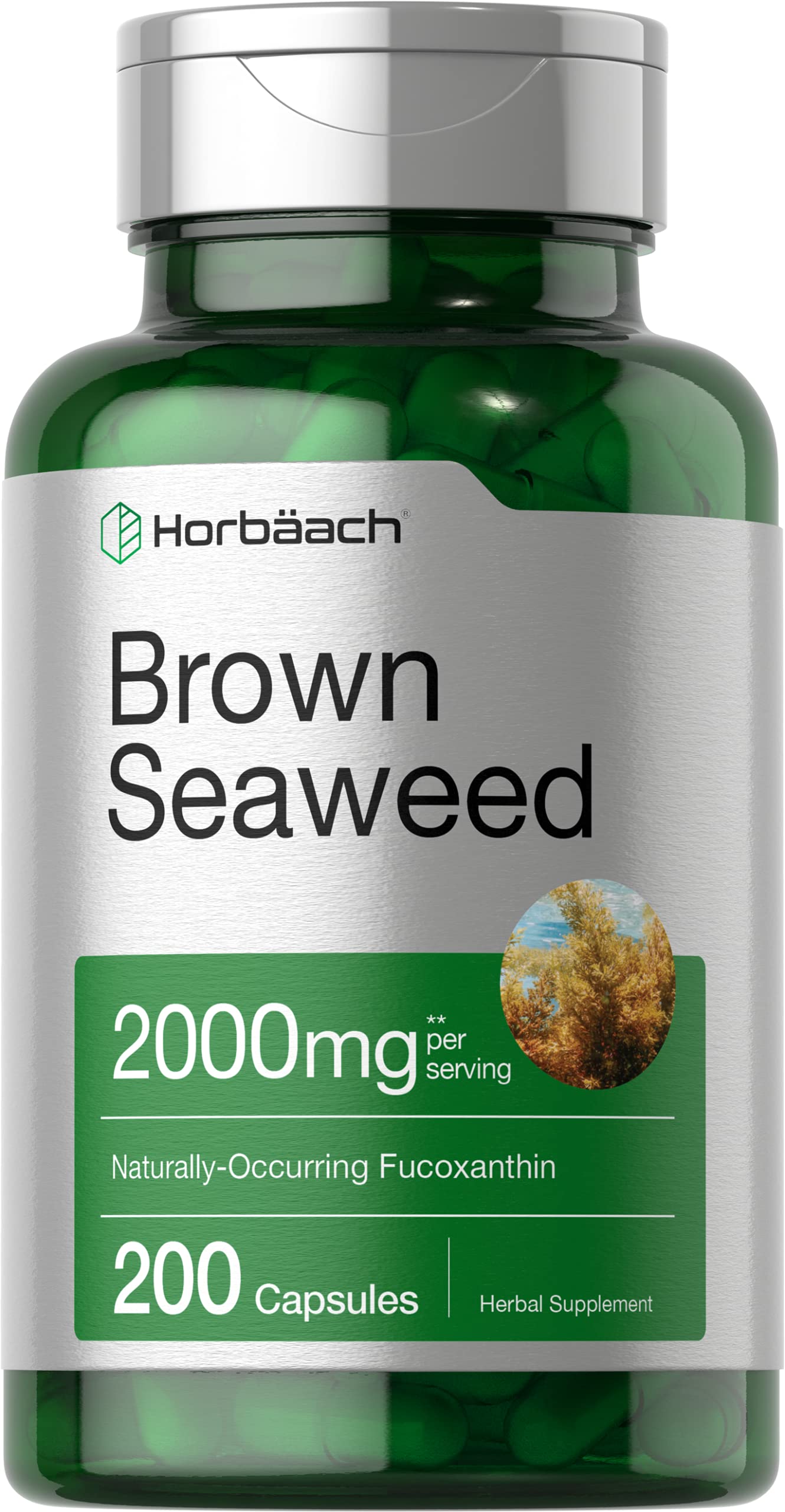 Horbäach Brown Seaweed Extract Capsules 2000mg – 200 Pills | Fucoxanthin, Non-GMO, Gluten Free