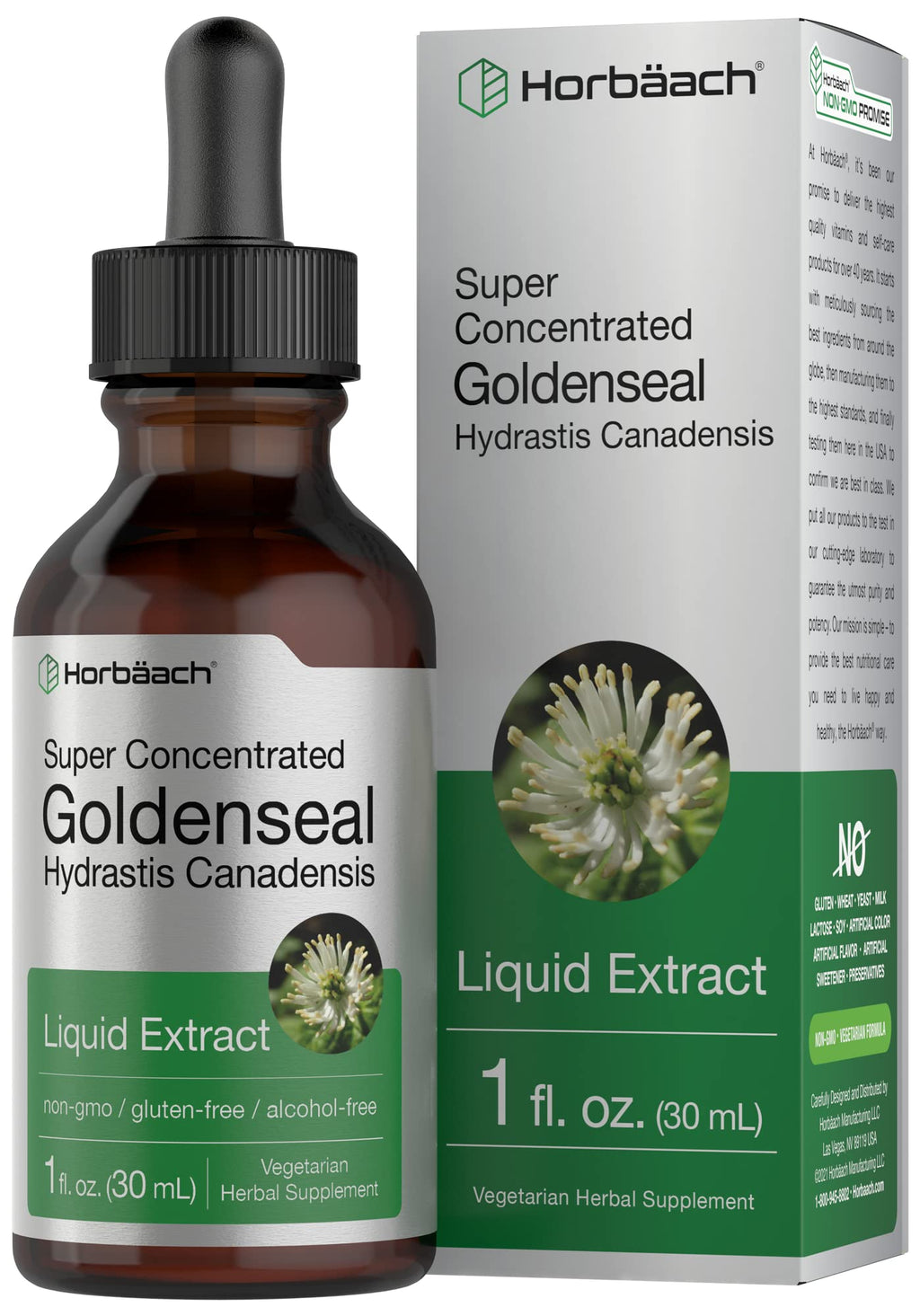 Horbaach Goldenseal Tincture Liquid Extract – 1 fl oz | Alcohol Free
