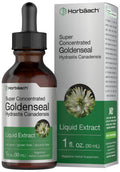 Horbaach Goldenseal Tincture Liquid Extract – 1 fl oz | Alcohol Free