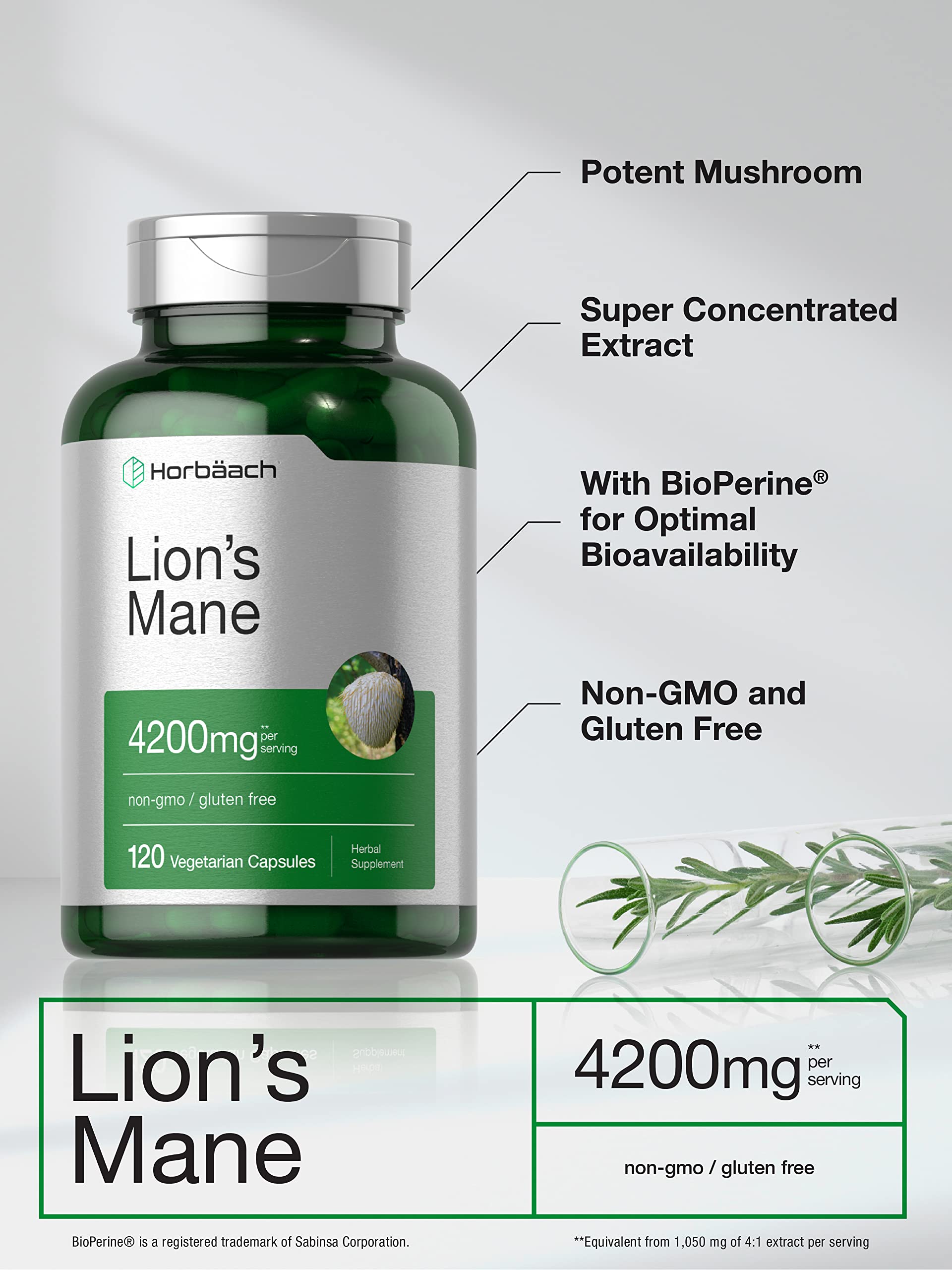 Horbäach Lion's Mane Mushroom Extract 4200mg | 120 Veg Capsules | Non-GMO, Gluten Free