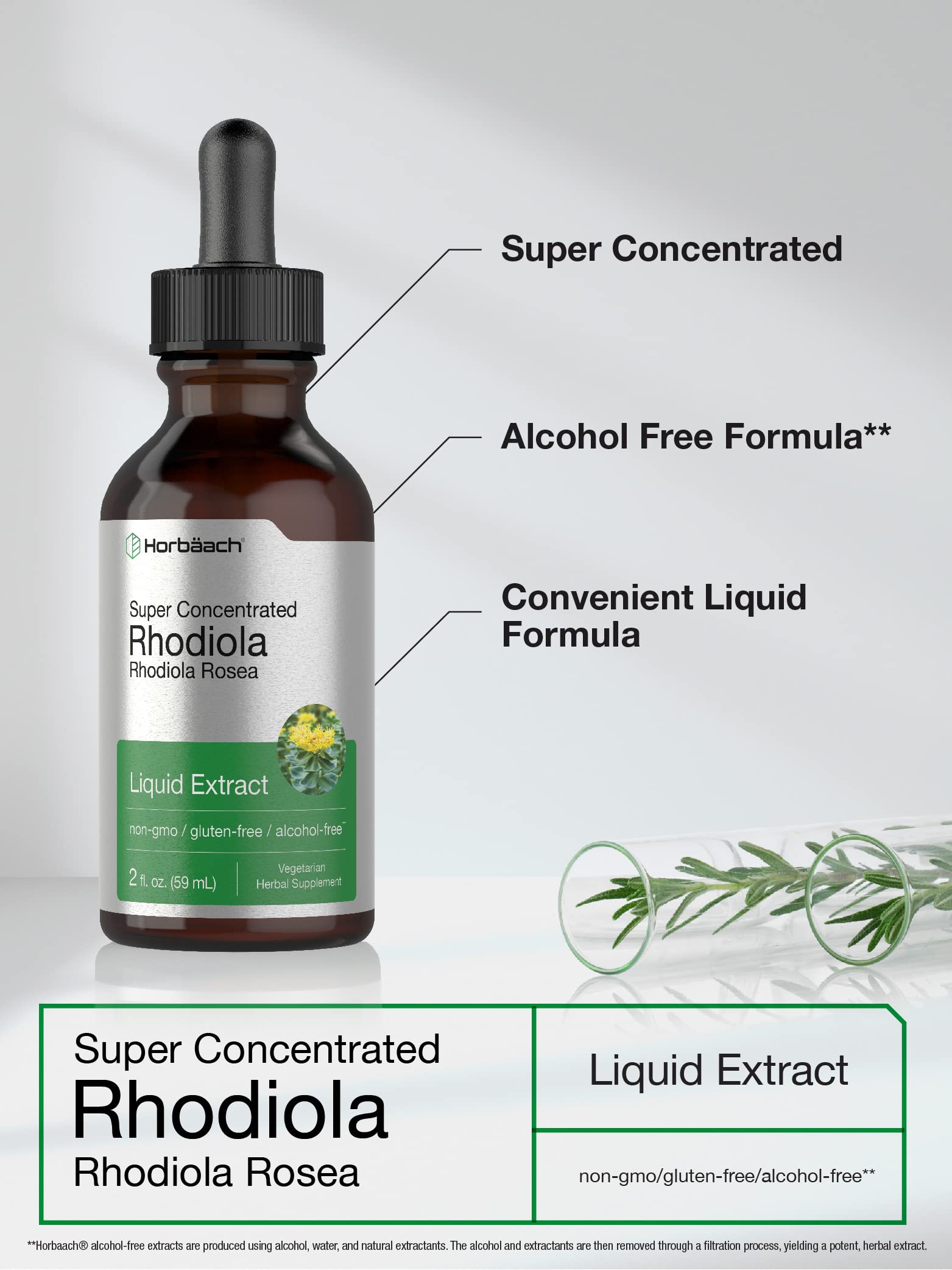 Horbaach Rhodiola Rosea Supplement Tincture - 2 fl oz | Alcohol-Free Extract | Vegetarian, Non-GMO, Gluten Free