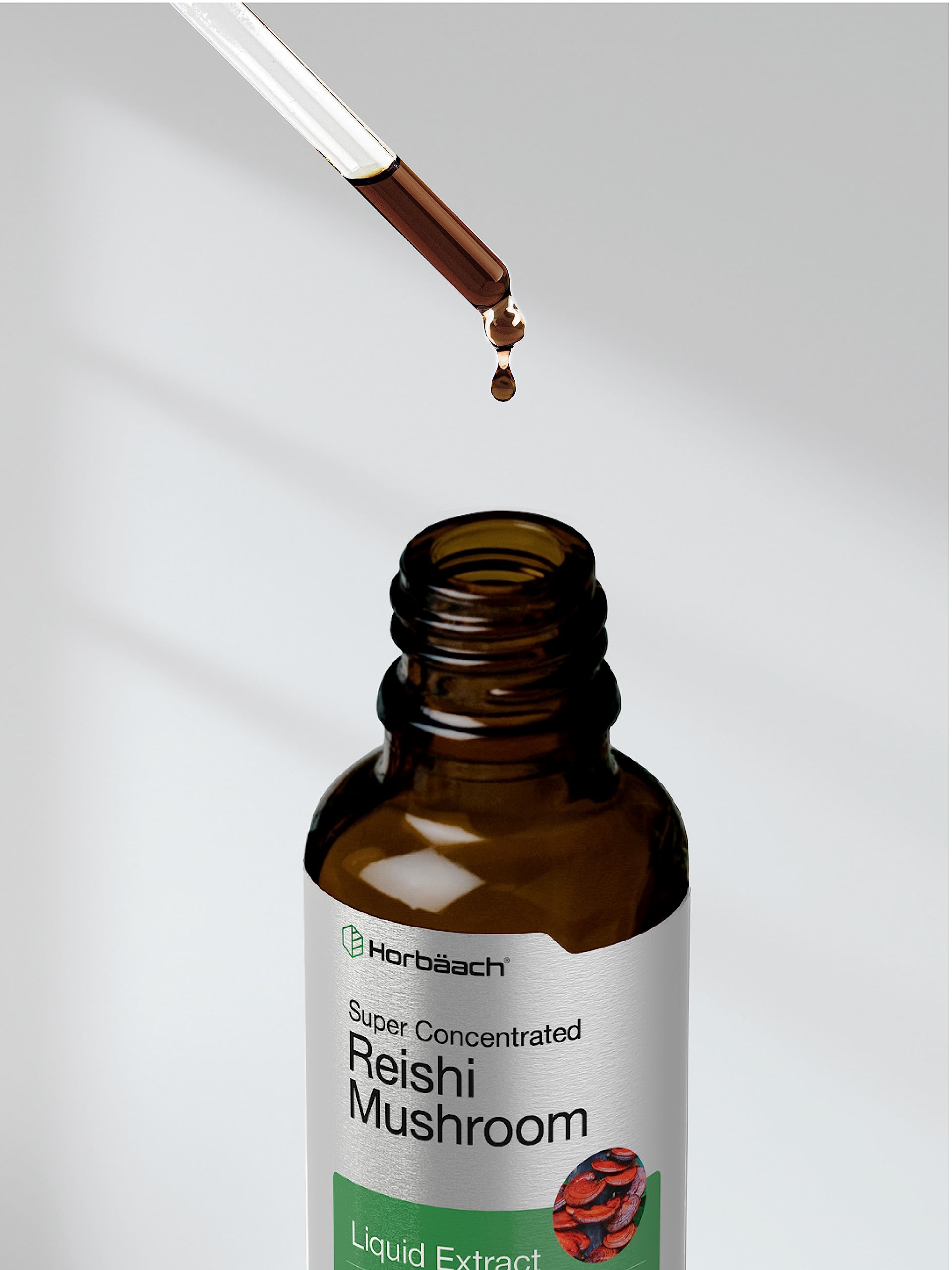 Horbäach Reishi Mushroom Extract Tincture – 2 Oz | Ganoderma Lucidum | Vegetarian, Alcohol Free, Non-GMO, Gluten Free