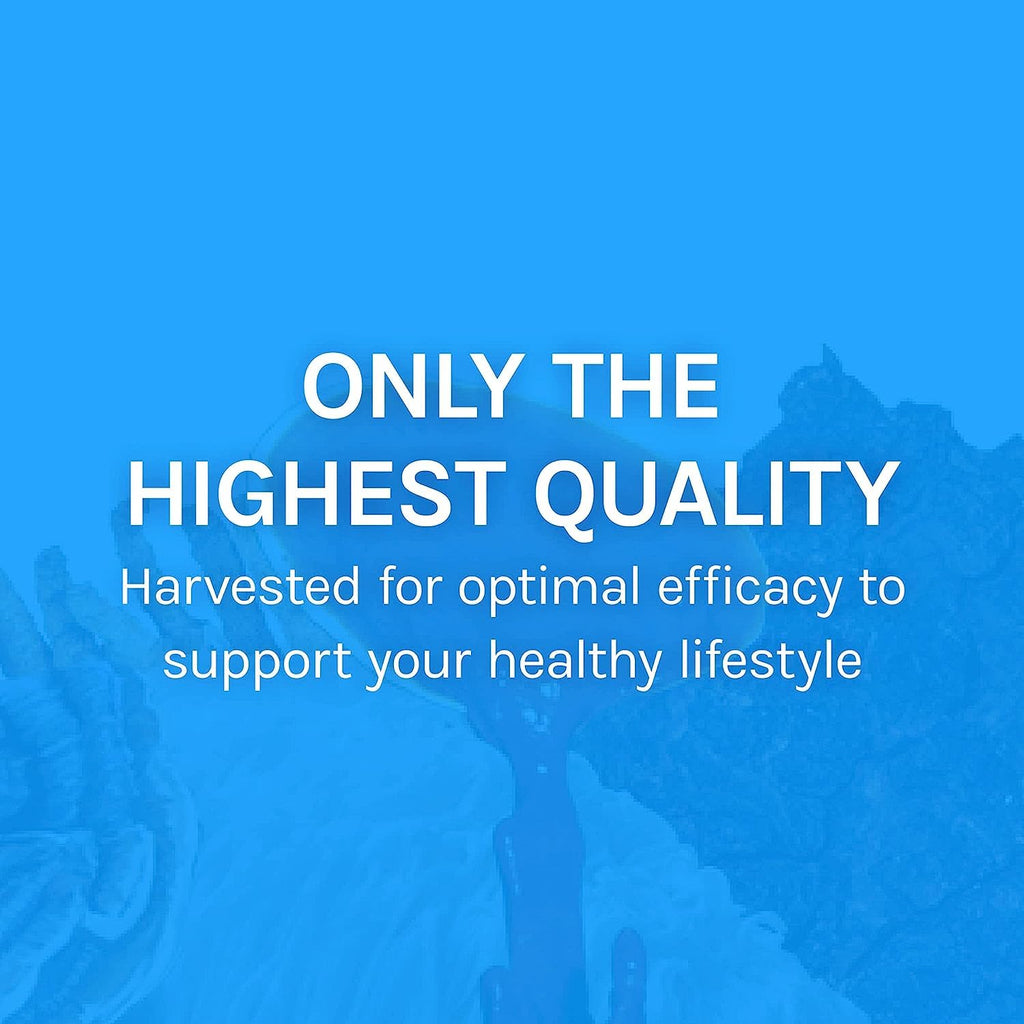 Host Defense Breathe Capsules – Immune & Respiratory Support (Pack of 2) | Chaga, Reishi & Cordyceps