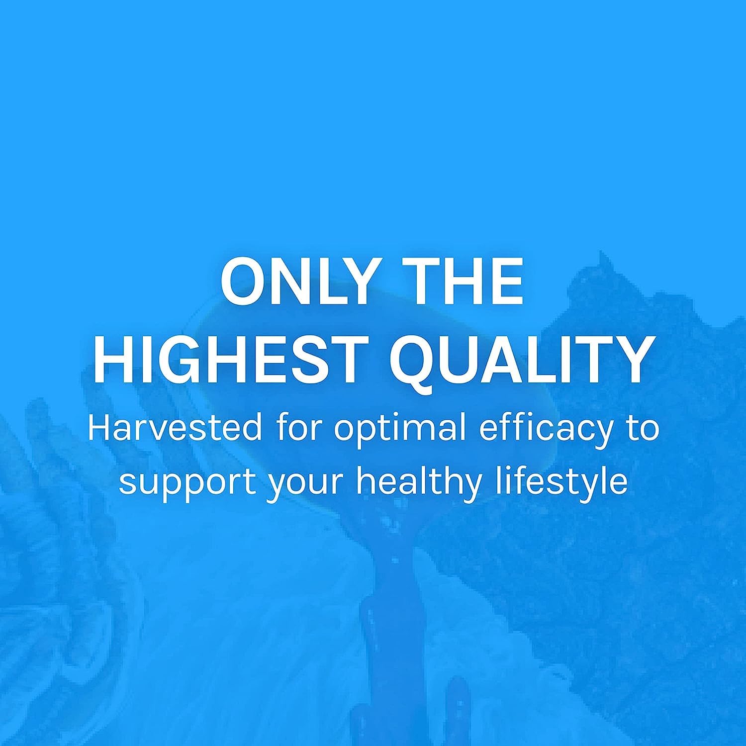 Host Defense Breathe Capsules – Immune & Respiratory Support (Pack of 2) | Chaga, Reishi & Cordyceps