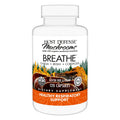 Host Defense Breathe Capsules – Immune & Respiratory Support Mushroom Supplement with Chaga, Reishi & Cordyceps – 120 Capsules