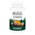 Host Defense Chaga Capsules | Immune Support & Antioxidant Mushroom Supplement - 120 Capsules