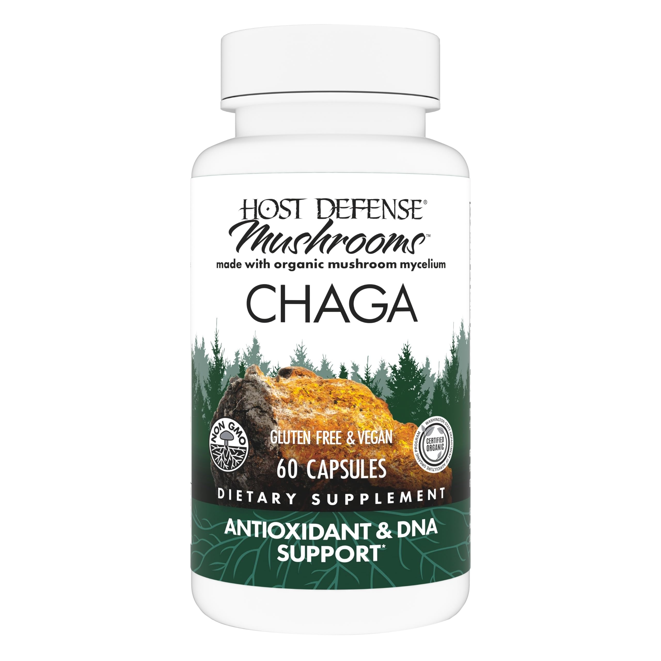 Host Defense Chaga Capsules – Immune Support & Antioxidant Mushroom Supplement | 60 Capsules (30 Servings)
