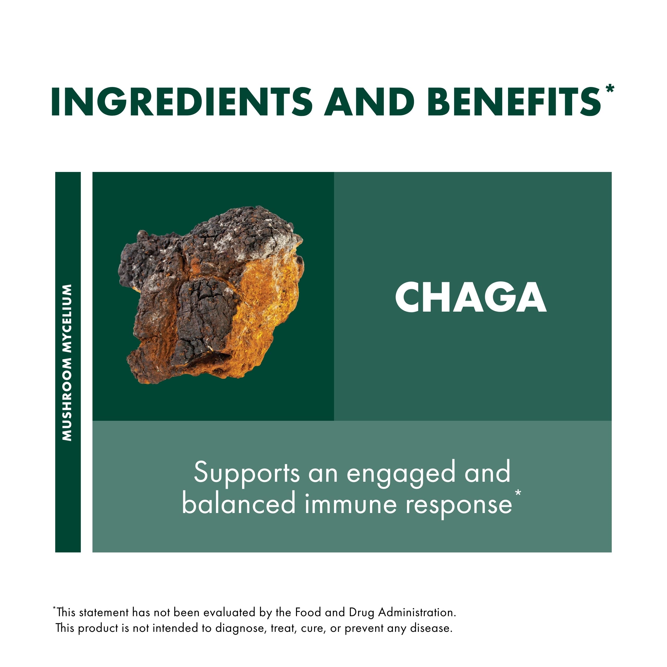 Host Defense Chaga Capsules – Immune Support & Antioxidant Mushroom Supplement | 60 Capsules (30 Servings)