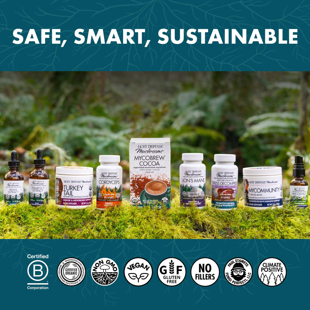 Host Defense CordyChi Capsules – Cordyceps & Reishi for Energy & Immune Support | 120 Capsules