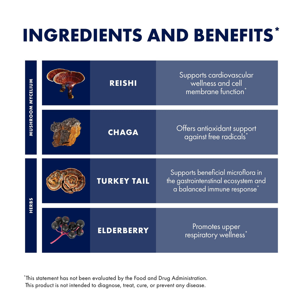 Host Defense Elderberry Plus Syrup - Immune & Respiratory Support Mushroom Supplement with Turkey Tail, Reishi, Agarikon & Chaga | 4 fl oz (12 Servings) Pack of 2