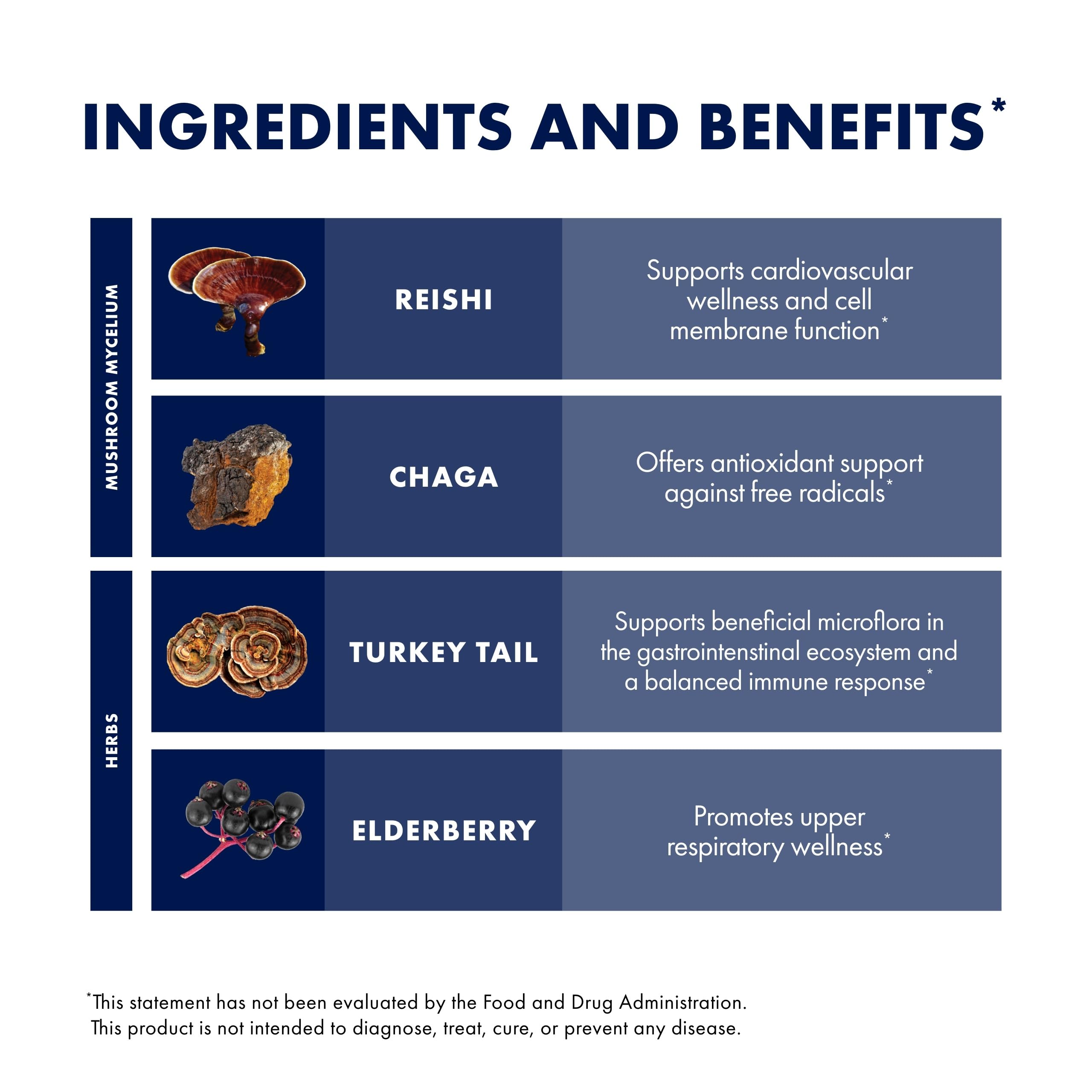 Host Defense Elderberry Plus Syrup - Immune & Respiratory Support Mushroom Supplement with Turkey Tail, Reishi, Agarikon & Chaga | 4 fl oz (12 Servings) Pack of 2
