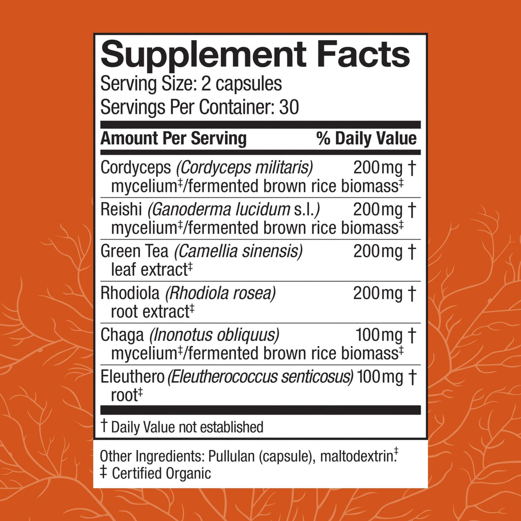 Host Defense MycoBotanicals Energy Capsules – Energy & Respiratory Support (Cordyceps, Reishi & Chaga) – 60 Capsules