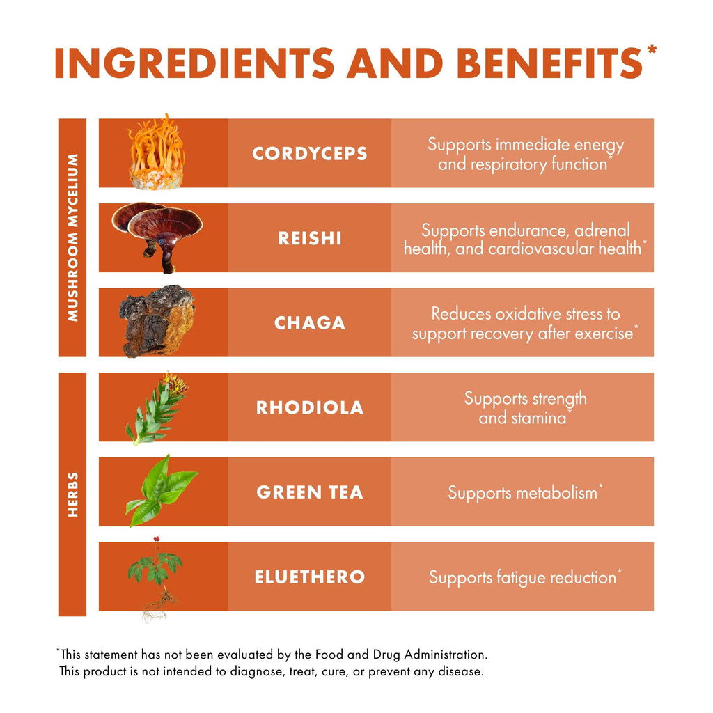 Host Defense MycoBotanicals Energy Capsules – Energy & Respiratory Support (Cordyceps, Reishi & Chaga) – 60 Capsules