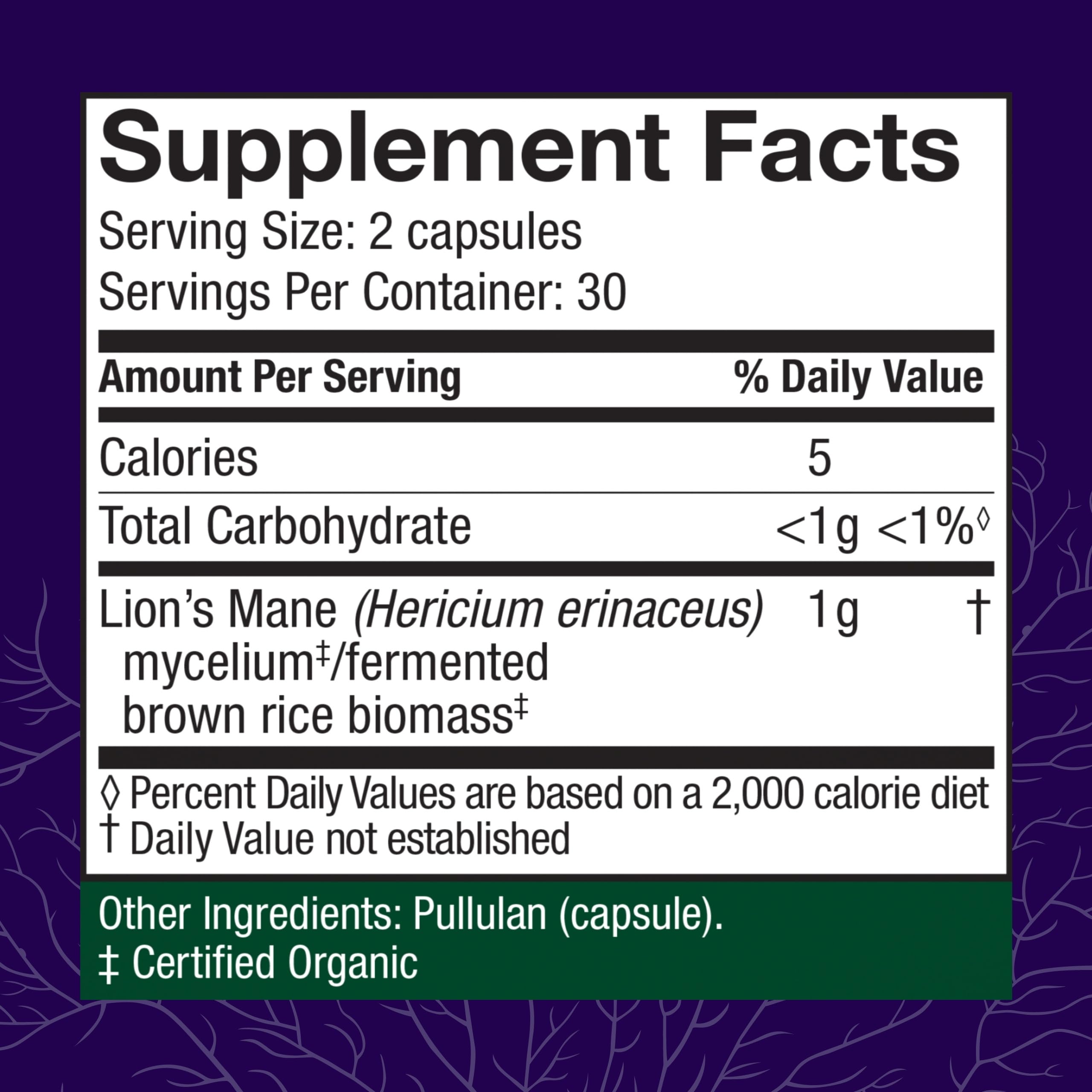 Host Defense Lion's Mane – Brain Health & Focus Support (60 Capsules)