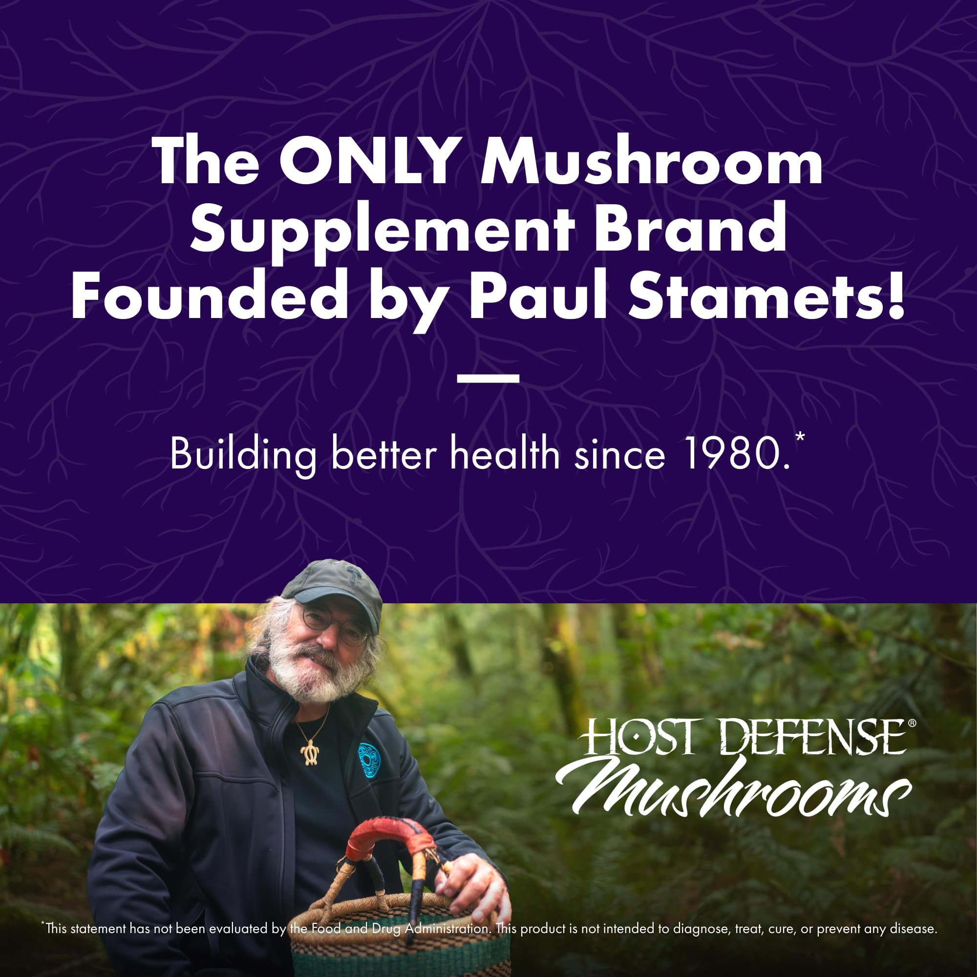 Host Defense Lion's Mane Capsules, 240 ct (2 x 120 ct)