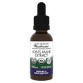 Host Defense Mushrooms Lion's Mane Extract – Brain Health & Focus Support (1 fl oz)