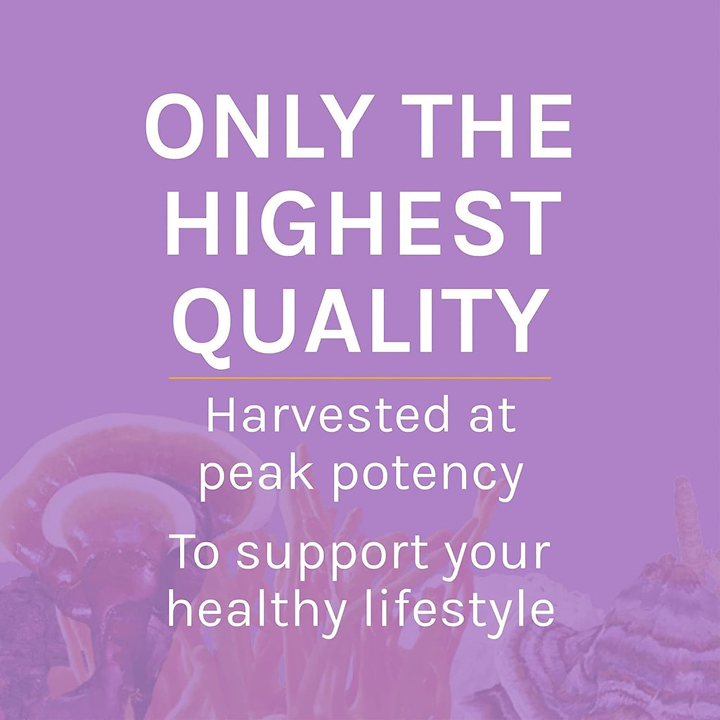 Host Defense Lion's Mane Powder - Brain Health & Focus (66 Servings)