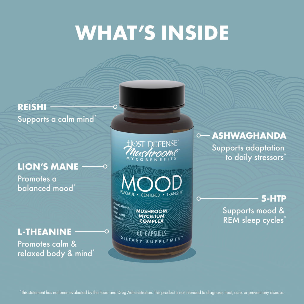 Host Defense MycoBenefits Mood* Capsules – Healthy Mind Support | Lion's Mane, L-Theanine & Ashwagandha | 60 Caps