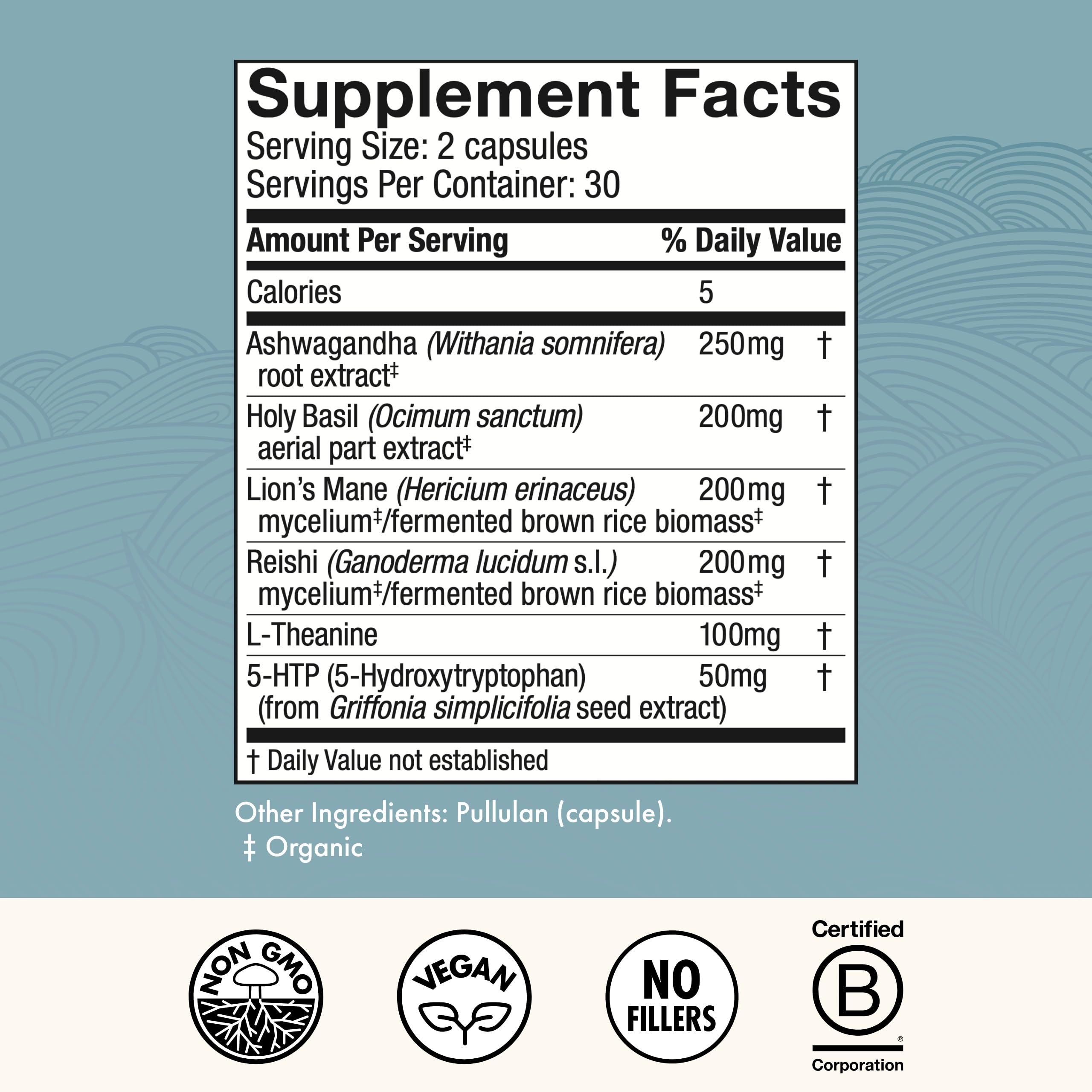 Host Defense MycoBenefits Mood* Capsules – Healthy Mind Support | Lion's Mane, L-Theanine & Ashwagandha | 60 Caps