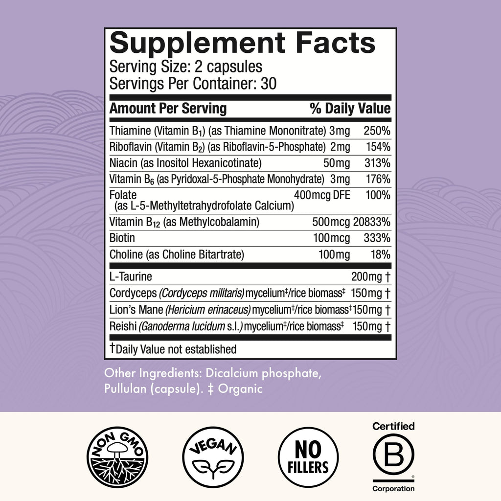 Host Defense MycoBenefits Focus Capsules – Brain Health Mushroom Supplement with Lion's Mane, Reishi & B Vitamins | 60 Capsules (30 Servings)