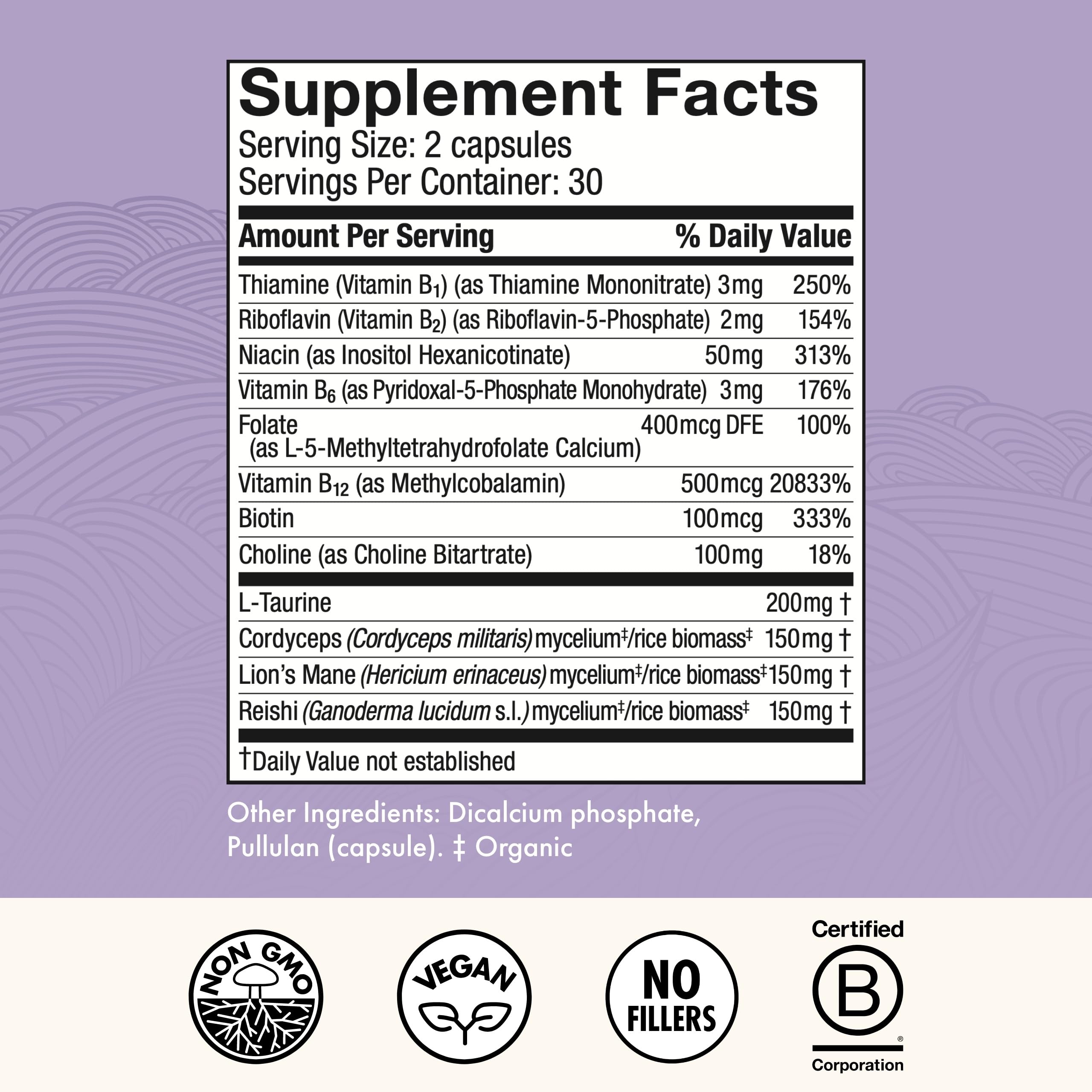 Host Defense MycoBenefits Focus Capsules – Brain Health Mushroom Supplement with Lion's Mane, Reishi & B Vitamins | 60 Capsules (30 Servings)