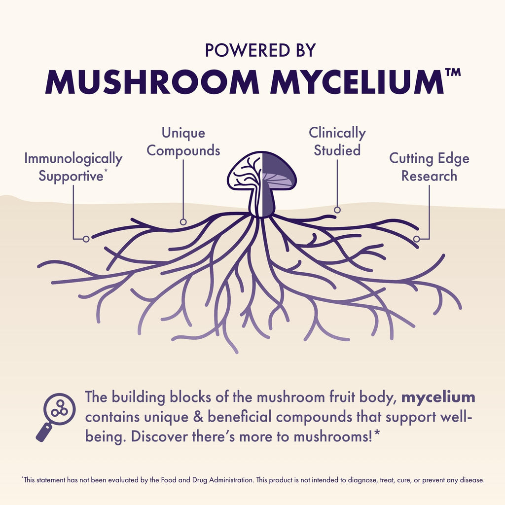 Host Defense MycoBenefits Focus Capsules – Brain Health Mushroom Supplement with Lion's Mane, Reishi & B Vitamins | 60 Capsules (30 Servings)