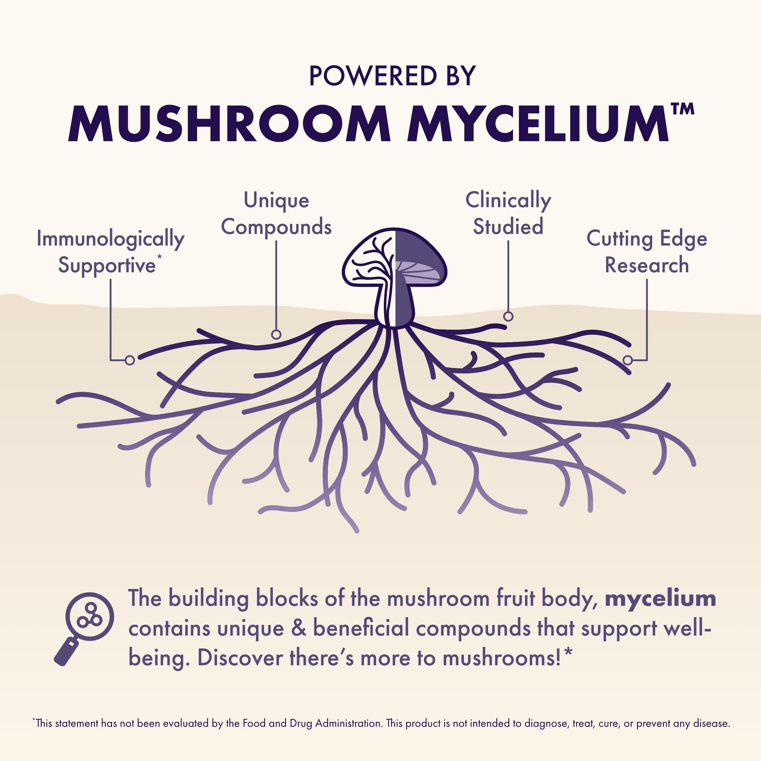 Host Defense MycoBenefits Focus Capsules – Brain Health Mushroom Supplement with Lion's Mane, Reishi & B Vitamins | 60 Capsules (30 Servings)