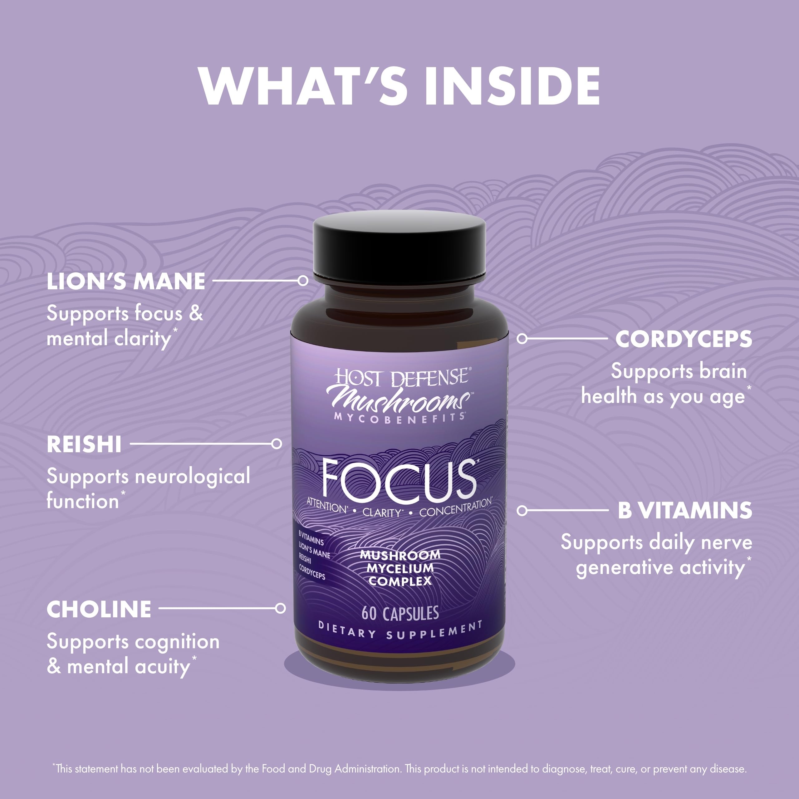 Host Defense MycoBenefits Focus Capsules – Brain Health Mushroom Supplement with Lion's Mane, Reishi & B Vitamins | 60 Capsules (30 Servings)