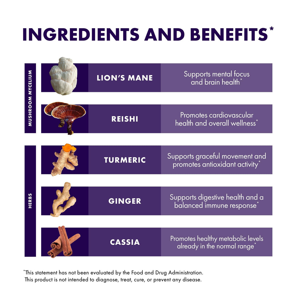 Host Defense MycoBotanicals Brain & Body Powder – Digestive & Immune Support with Lion's Mane & Reishi