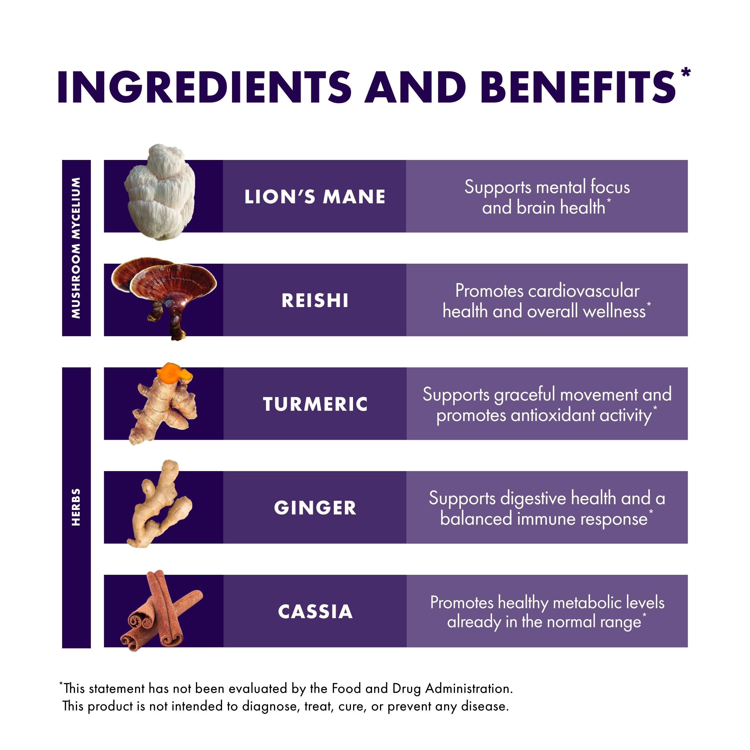 Host Defense MycoBotanicals Brain & Body Powder – Digestive & Immune Support with Lion's Mane & Reishi