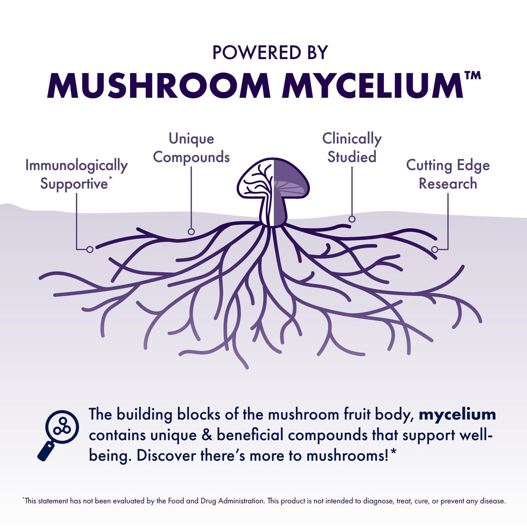 Host Defense MycoBotanicals Brain Capsules - Lion's Mane, Reishi & Cordyceps | 60 Capsules (30 Servings)