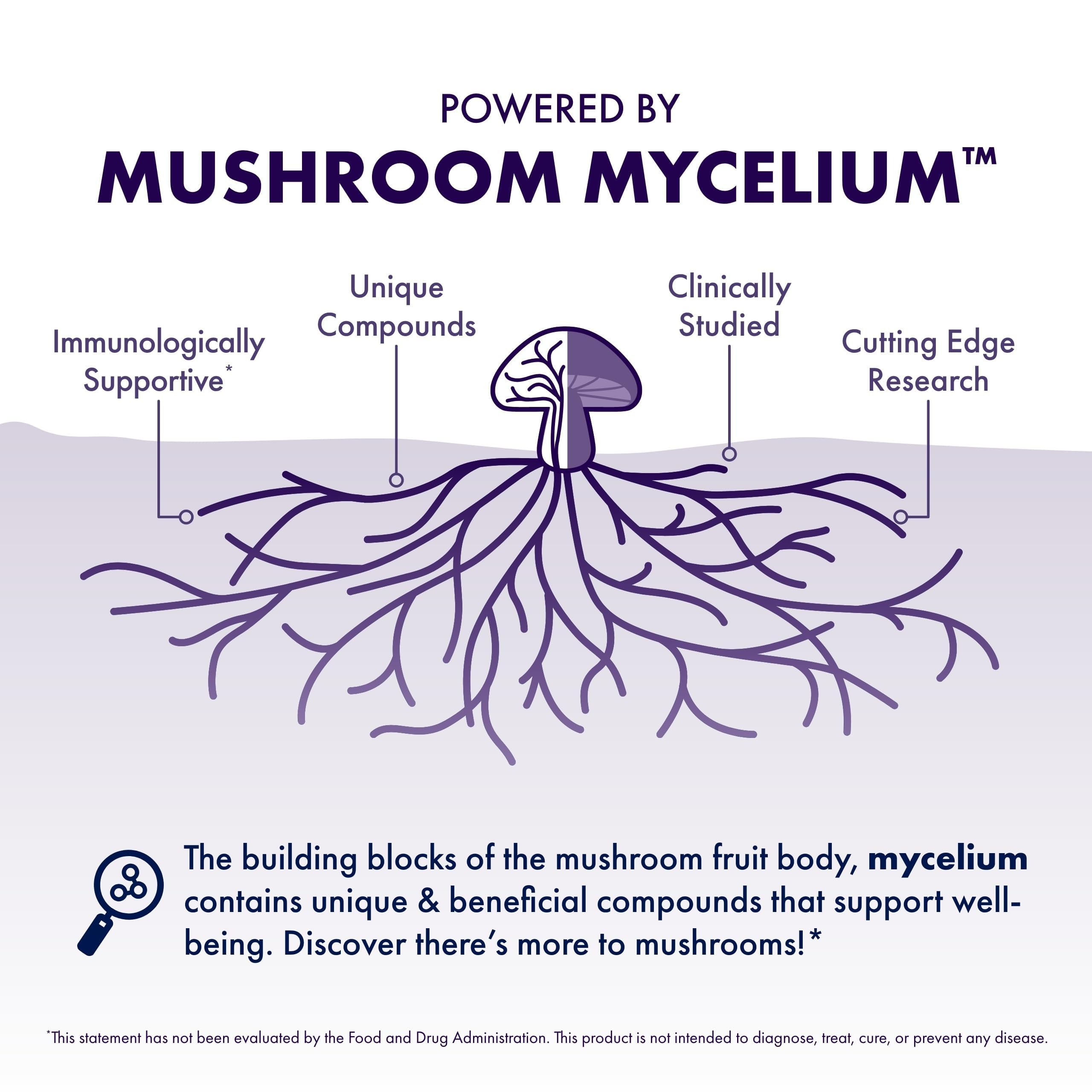 Host Defense MycoBotanicals Brain Capsules - Lion's Mane, Reishi & Cordyceps | 60 Capsules (30 Servings)