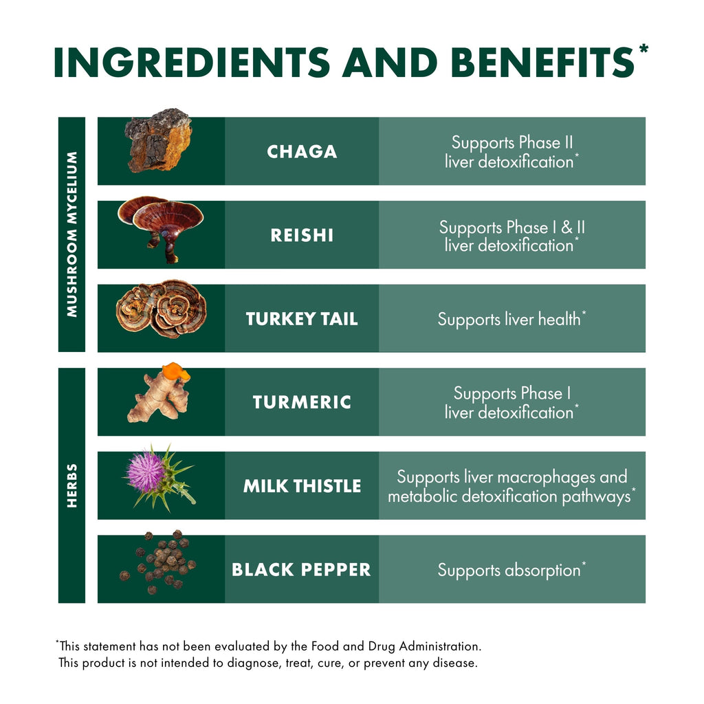 Host Defense MycoBotanicals Liver* Capsules - Liver Health Supplement with Milk Thistle & Turmeric Root - Mushroom Supplement with Turkey Tail, Reishi & Chaga - 60 Capsules (30 Servings)*