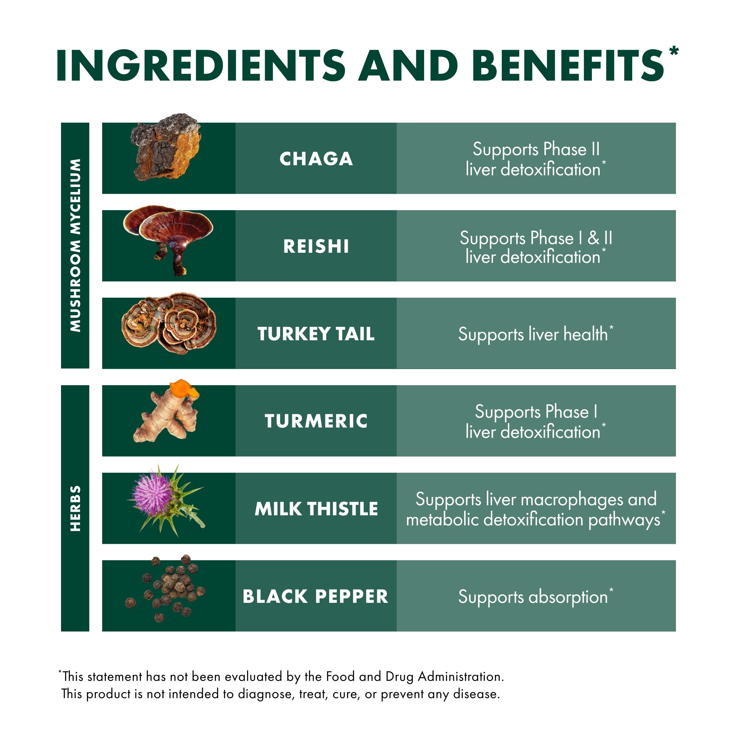 Host Defense MycoBotanicals Liver* Capsules - Liver Health Supplement with Milk Thistle & Turmeric Root - Mushroom Supplement with Turkey Tail, Reishi & Chaga - 60 Capsules (30 Servings)*
