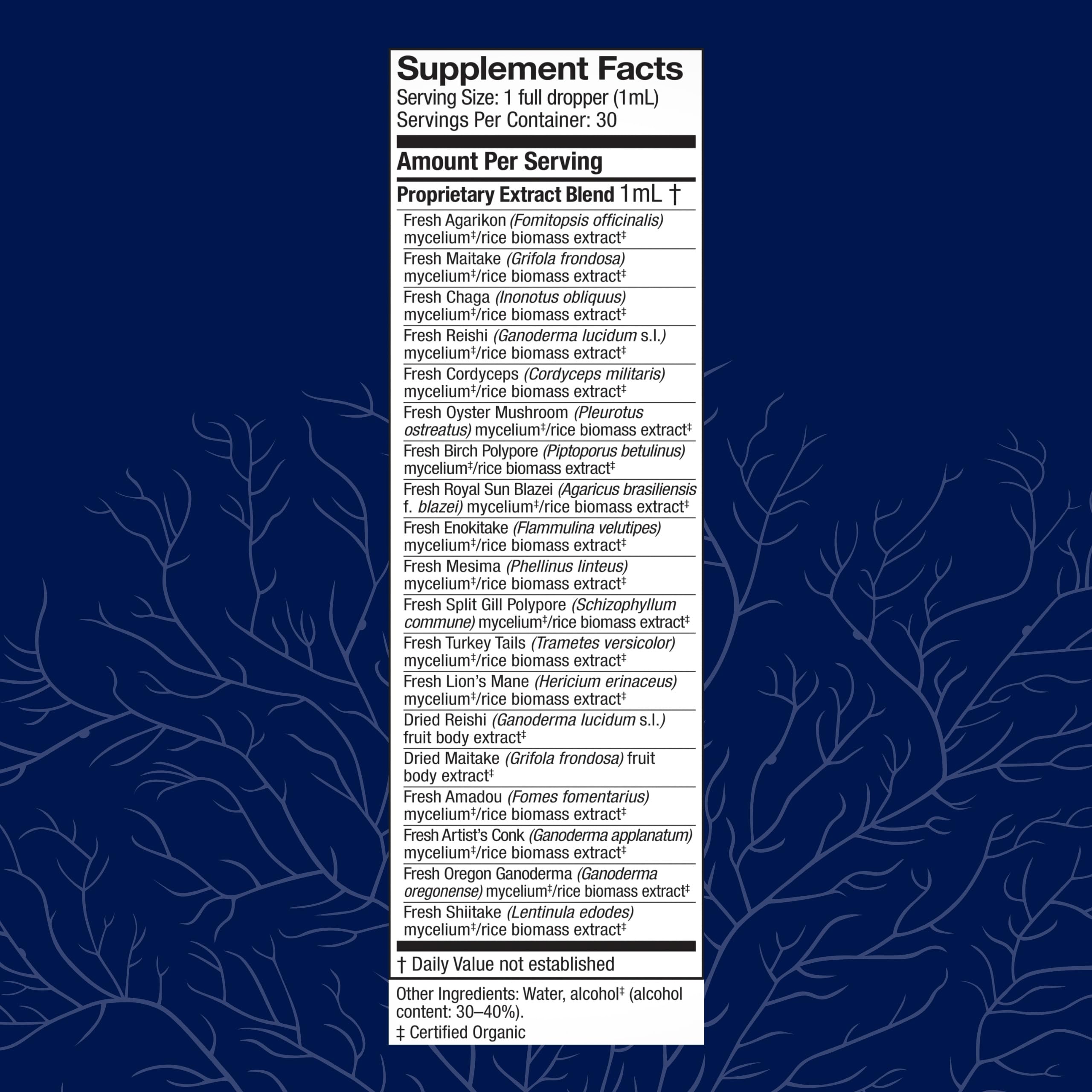 Host Defense MyCommunity Extract – 17-Species Mushroom Supplement for Immune Support | 1 fl oz