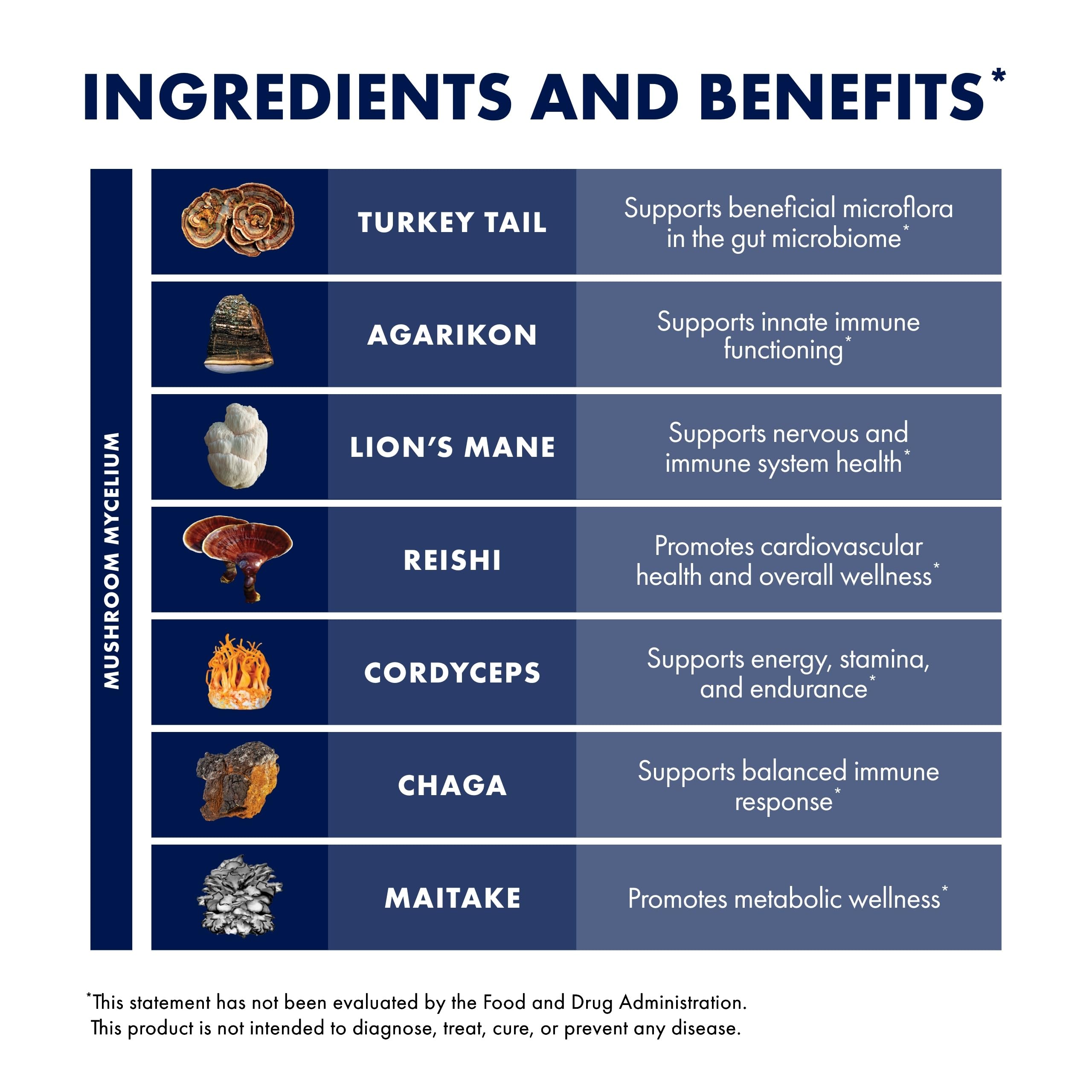 Host Defense MyCommunity Extract – 17-Species Mushroom Supplement for Immune Support | 1 fl oz