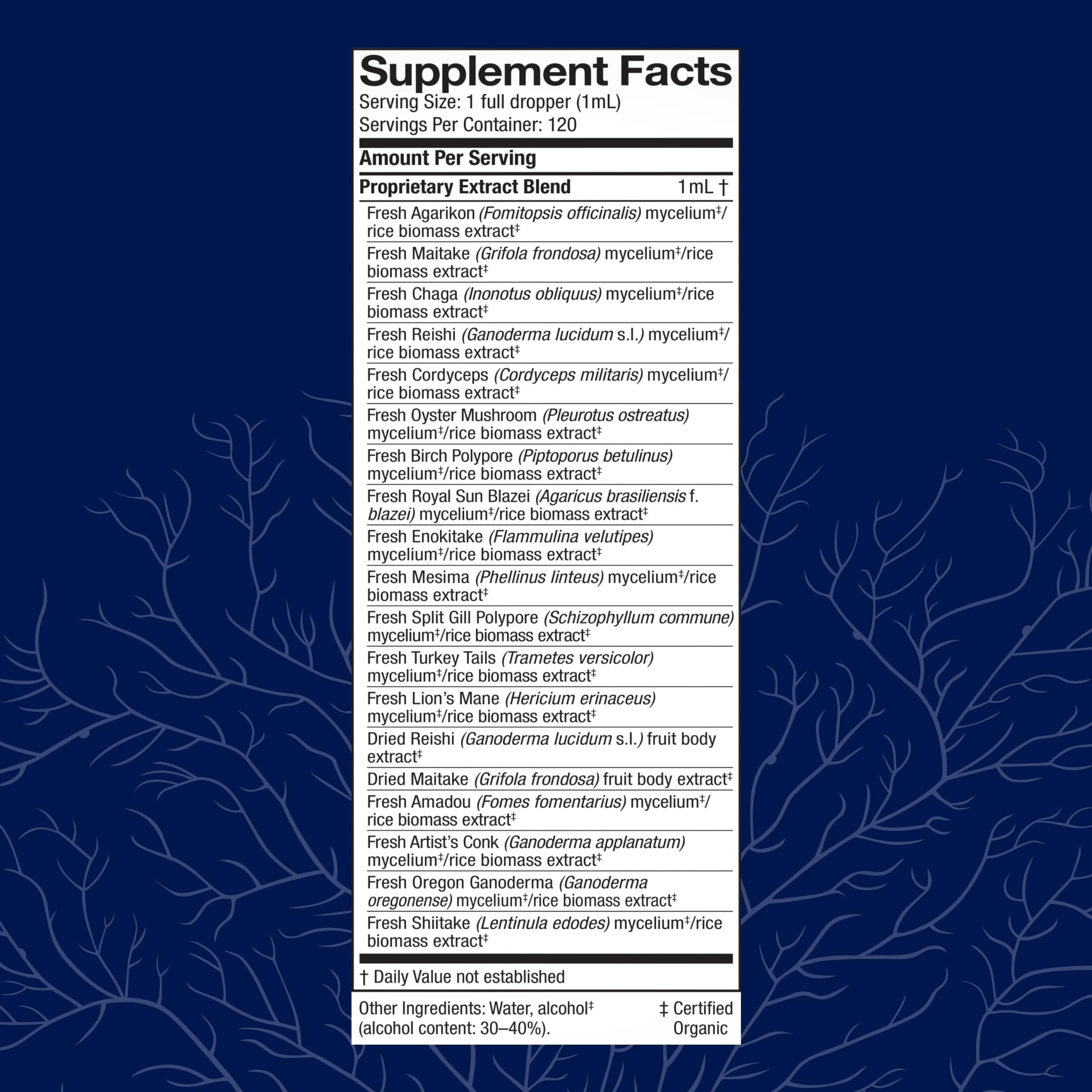 Host Defense MyCommunity Extract – 17-Species Mushroom Blend for Immune Support (4 fl oz)