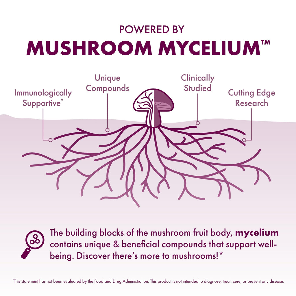Host Defense Turkey Tail Extract – Digestive Health and Immune Support