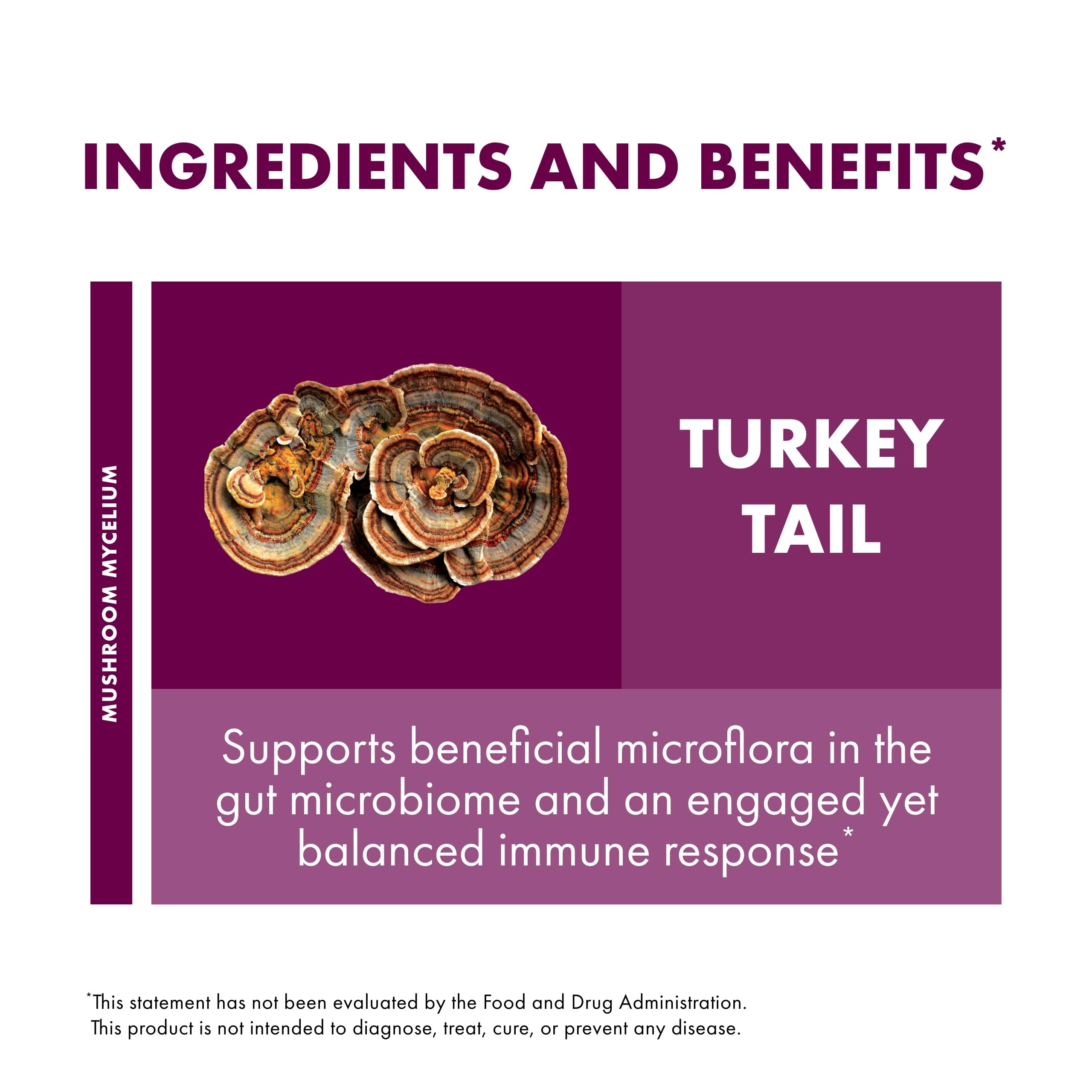 Host Defense Turkey Tail Extract – Digestive Health & Immune Support (2 oz)