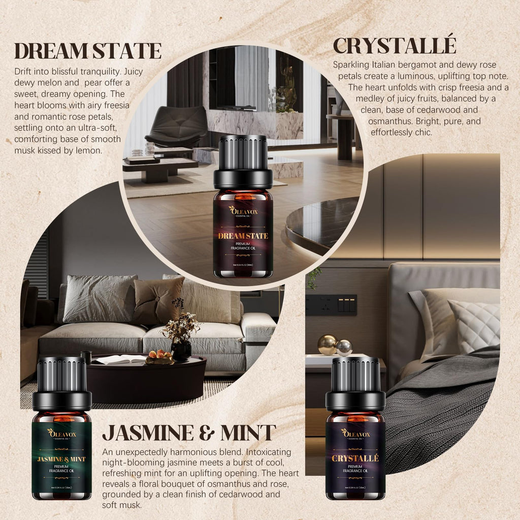 Hotel Diffuser Oils Gift Set – Luxury Fragrance Oils for Diffusers (Jasmine & Mint, White Tea, The Way)