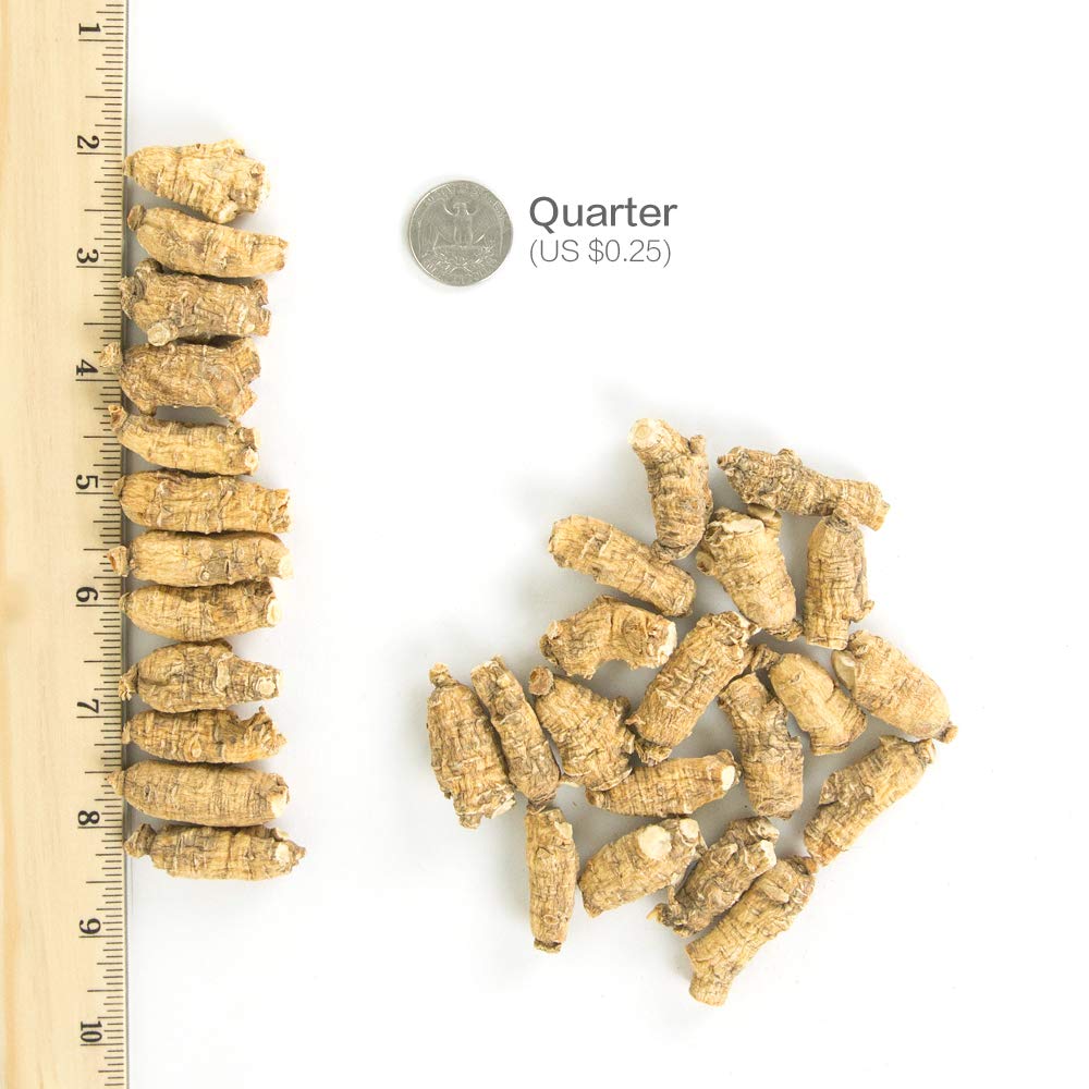 Hsu's Ginseng 113-4 | Cultivated American Ginseng from Marathon County, Wisconsin USA | 4oz Box