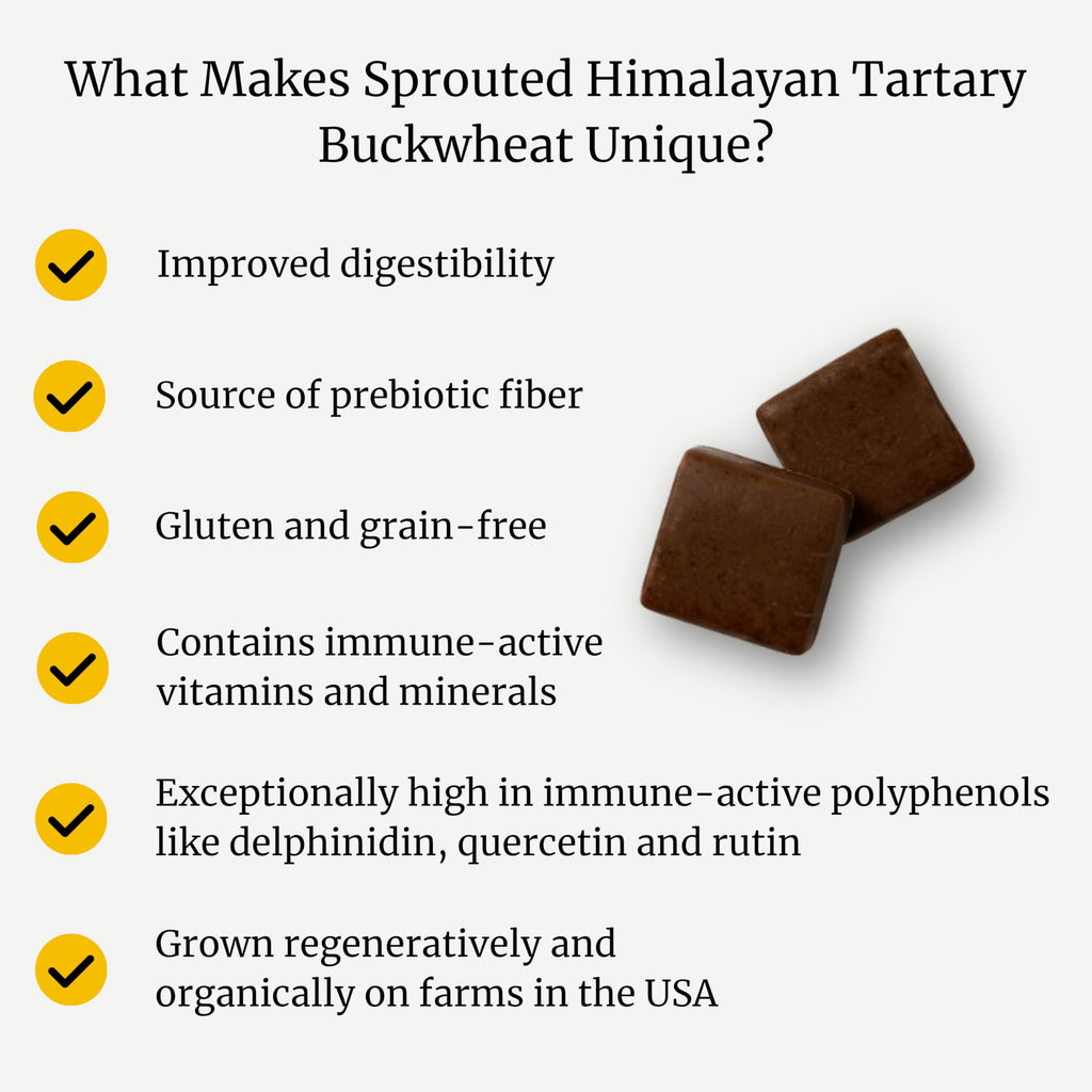 BIG BOLD HEALTH HTB Immune Energy Chews – Organic Tartary Buckwheat, Chocolate Flavor, Zinc & Vitamins (60 Chews)