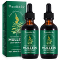 HUYEHF Mullein Drops - Mullein Leaf Extract for Lungs, Fast Absorption