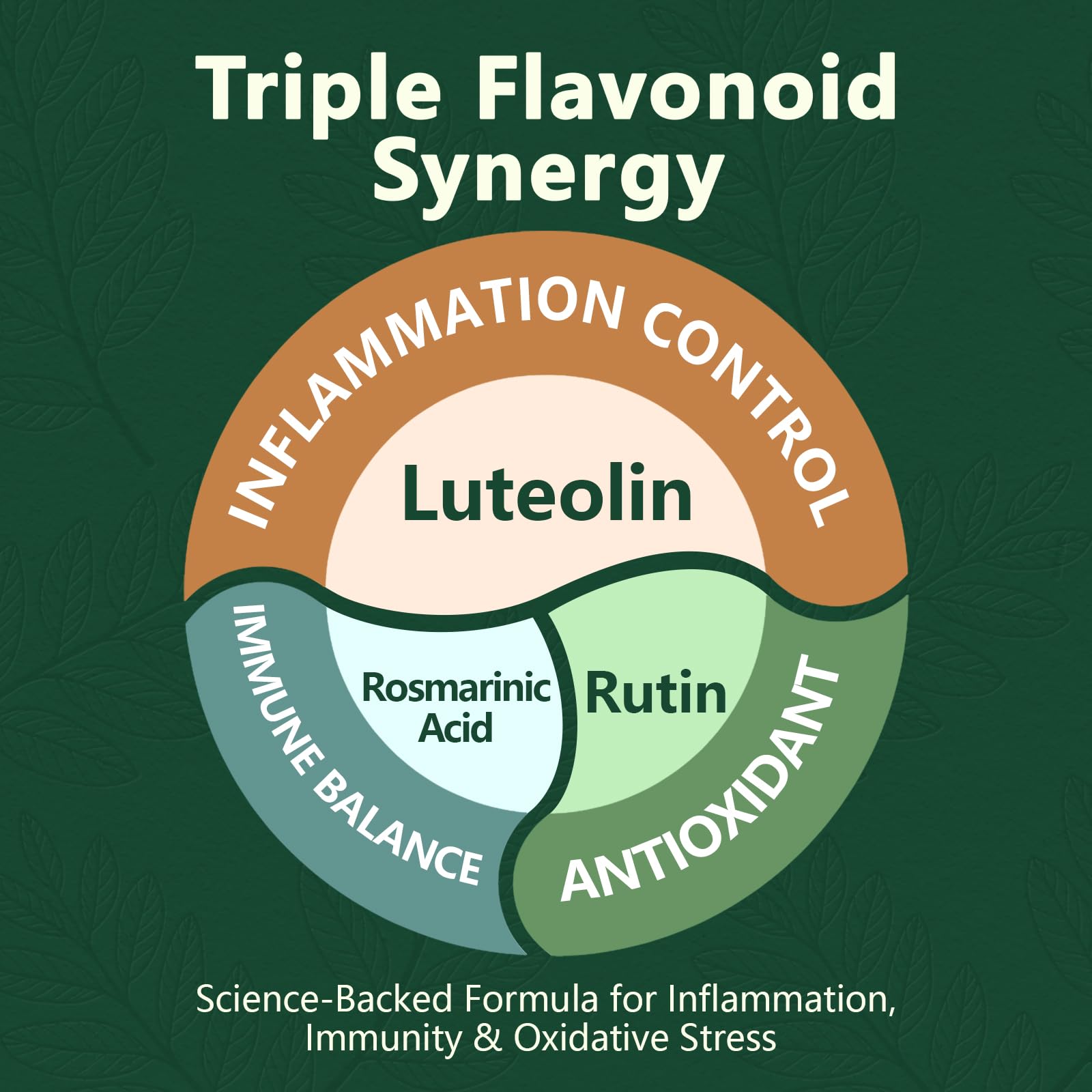 HyberVive Luteolin 200mg with Rutin & Perilla – Brain Health & Immunity – Made in USA
